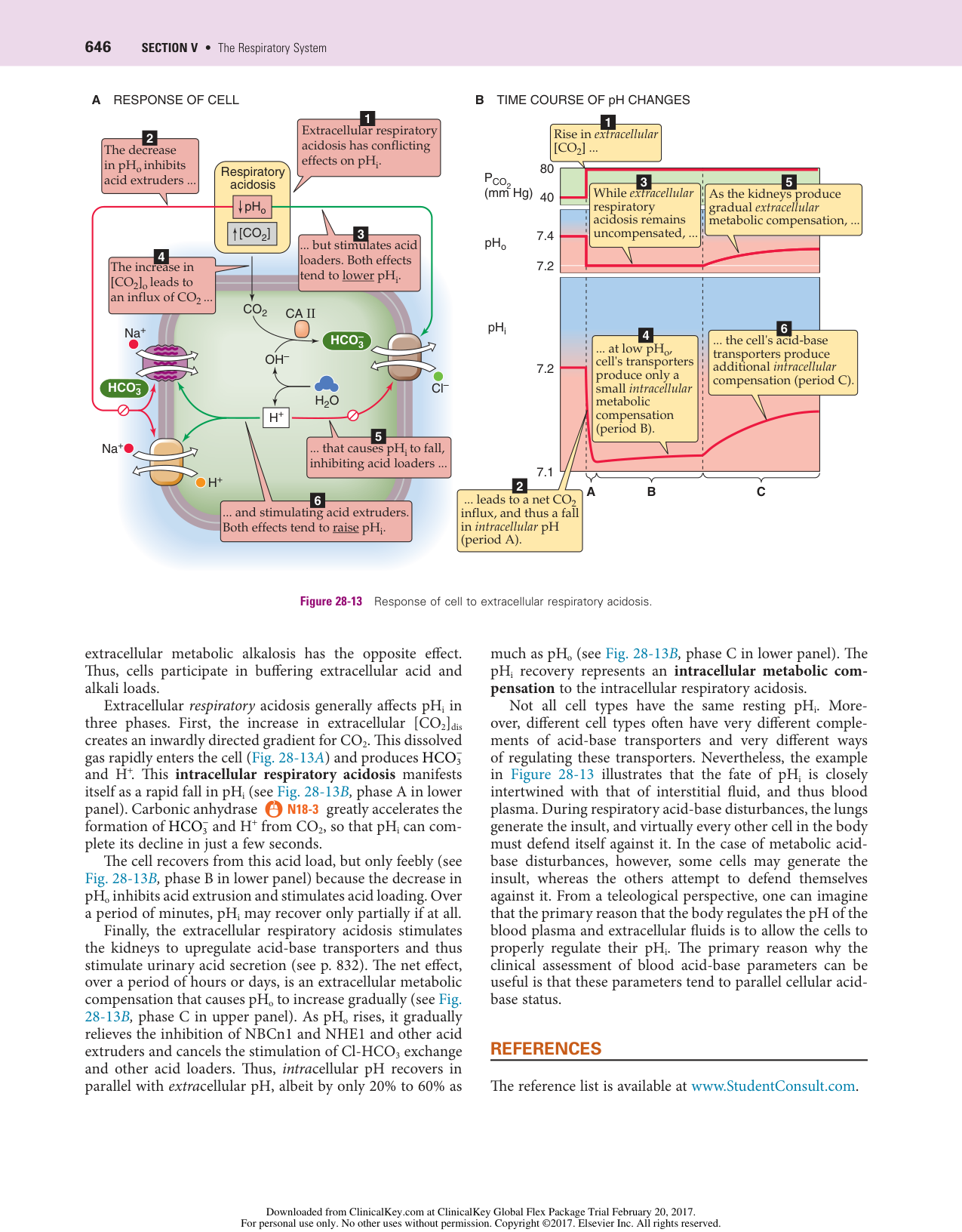 Physiologie acido-basique page 28