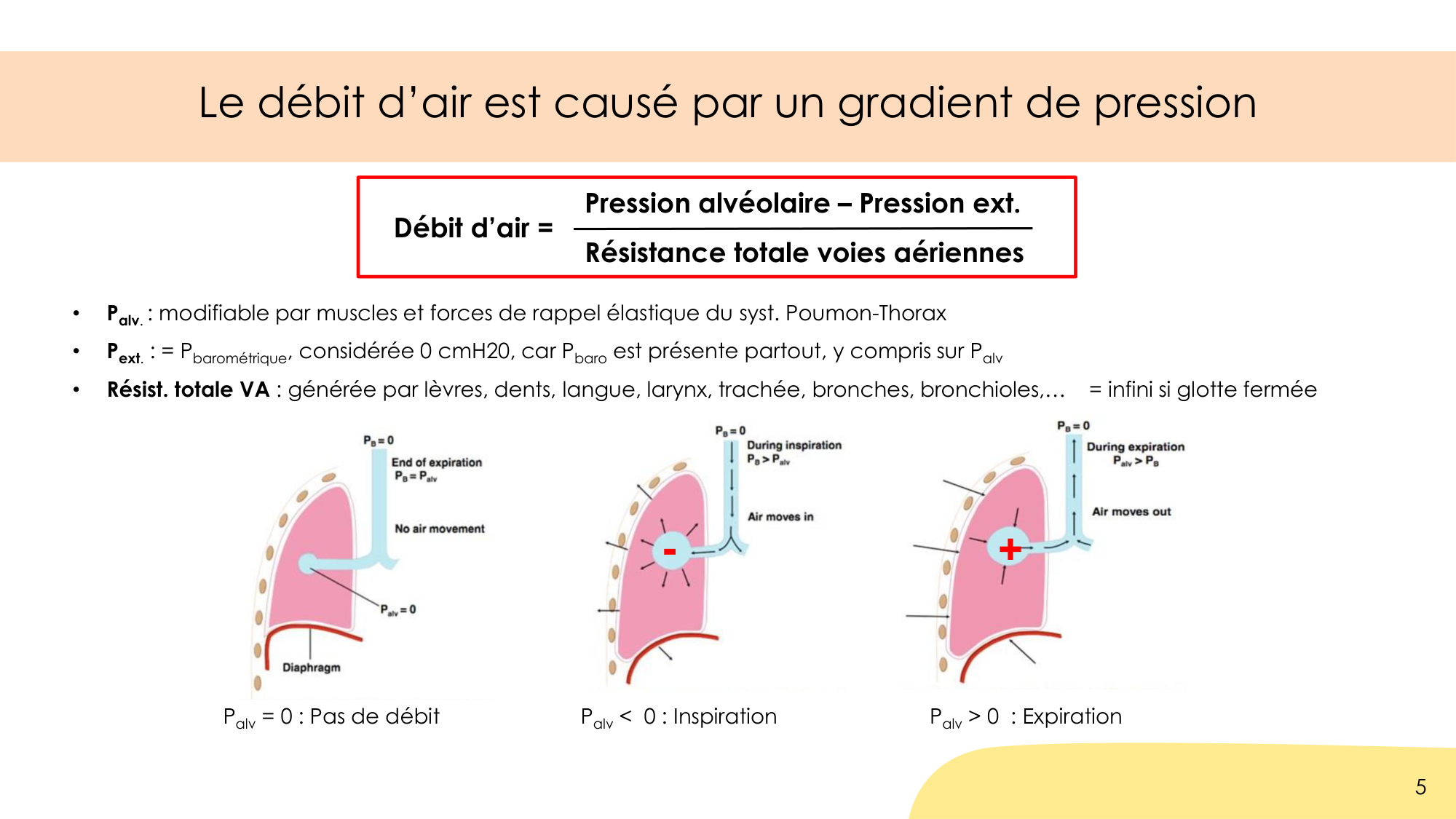 Dynamique respiratoire page 5