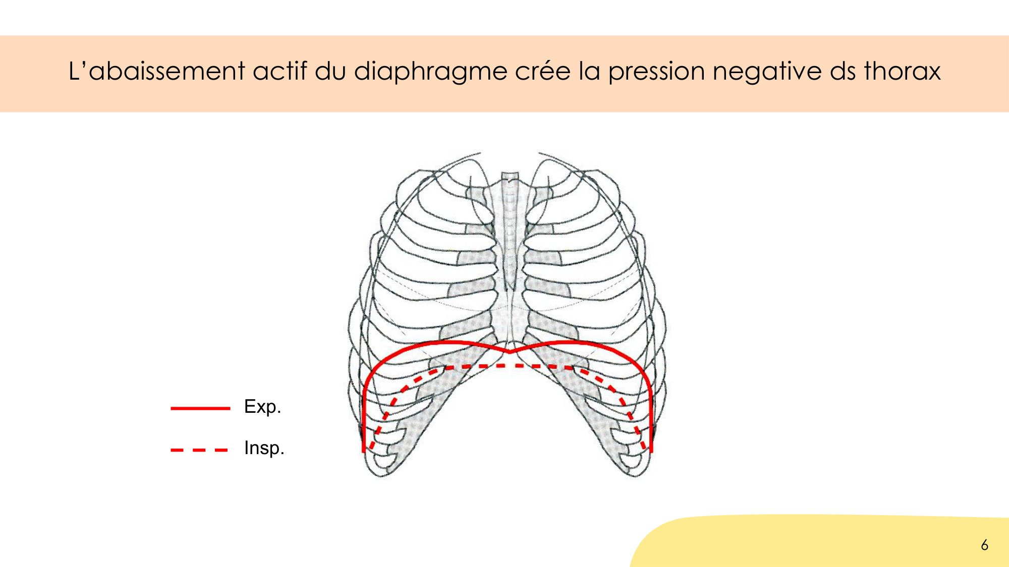 Dynamique respiratoire page 6