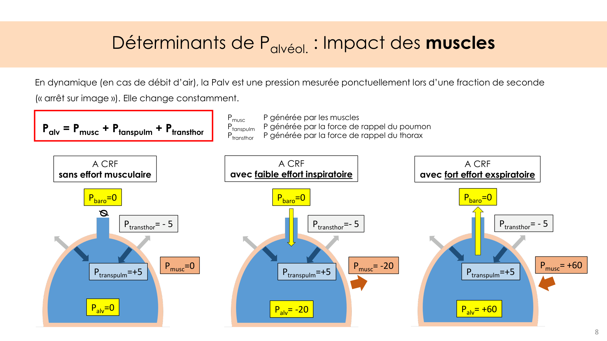 Dynamique respiratoire page 8