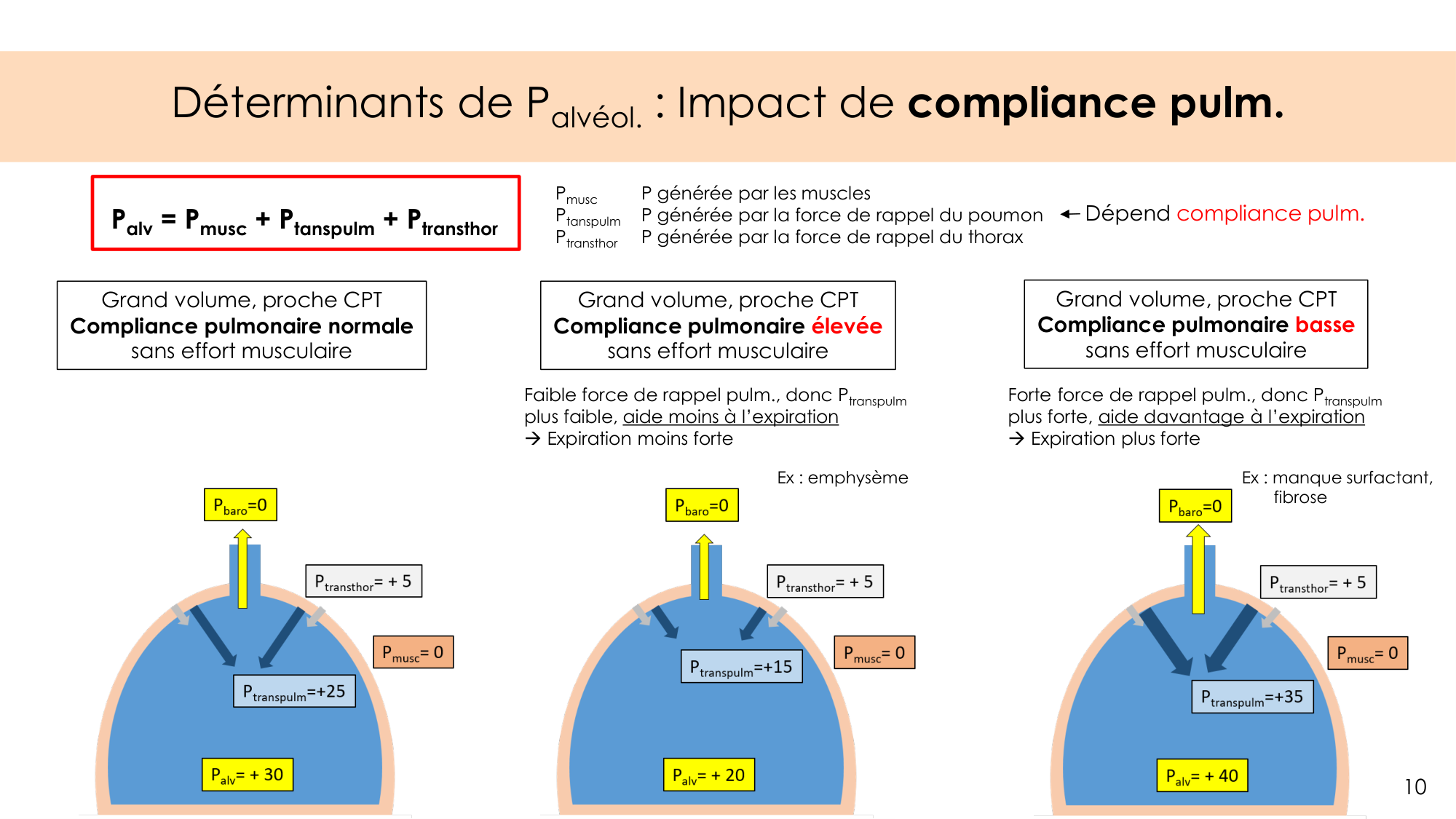 Dynamique respiratoire page 10