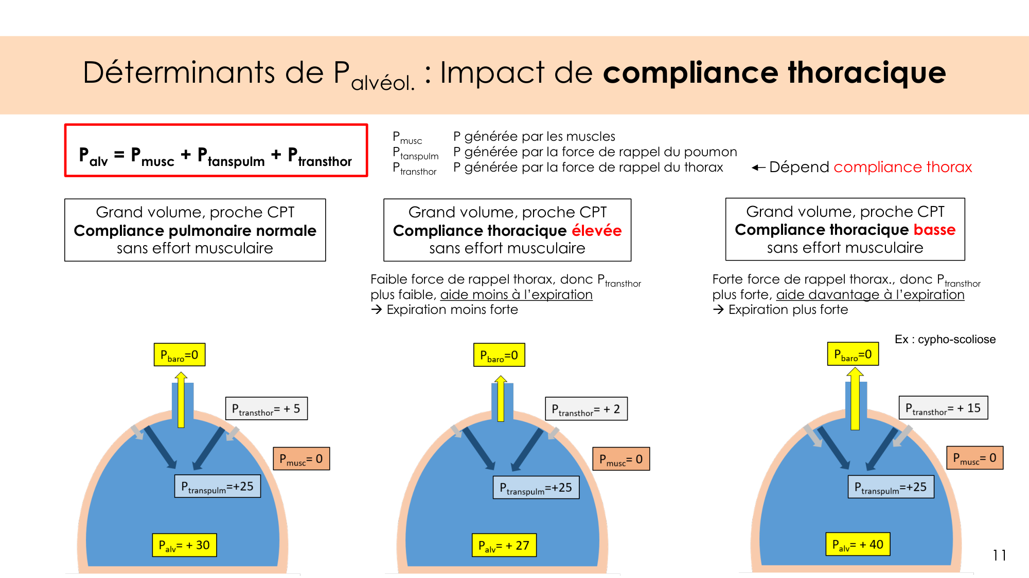 Dynamique respiratoire page 11
