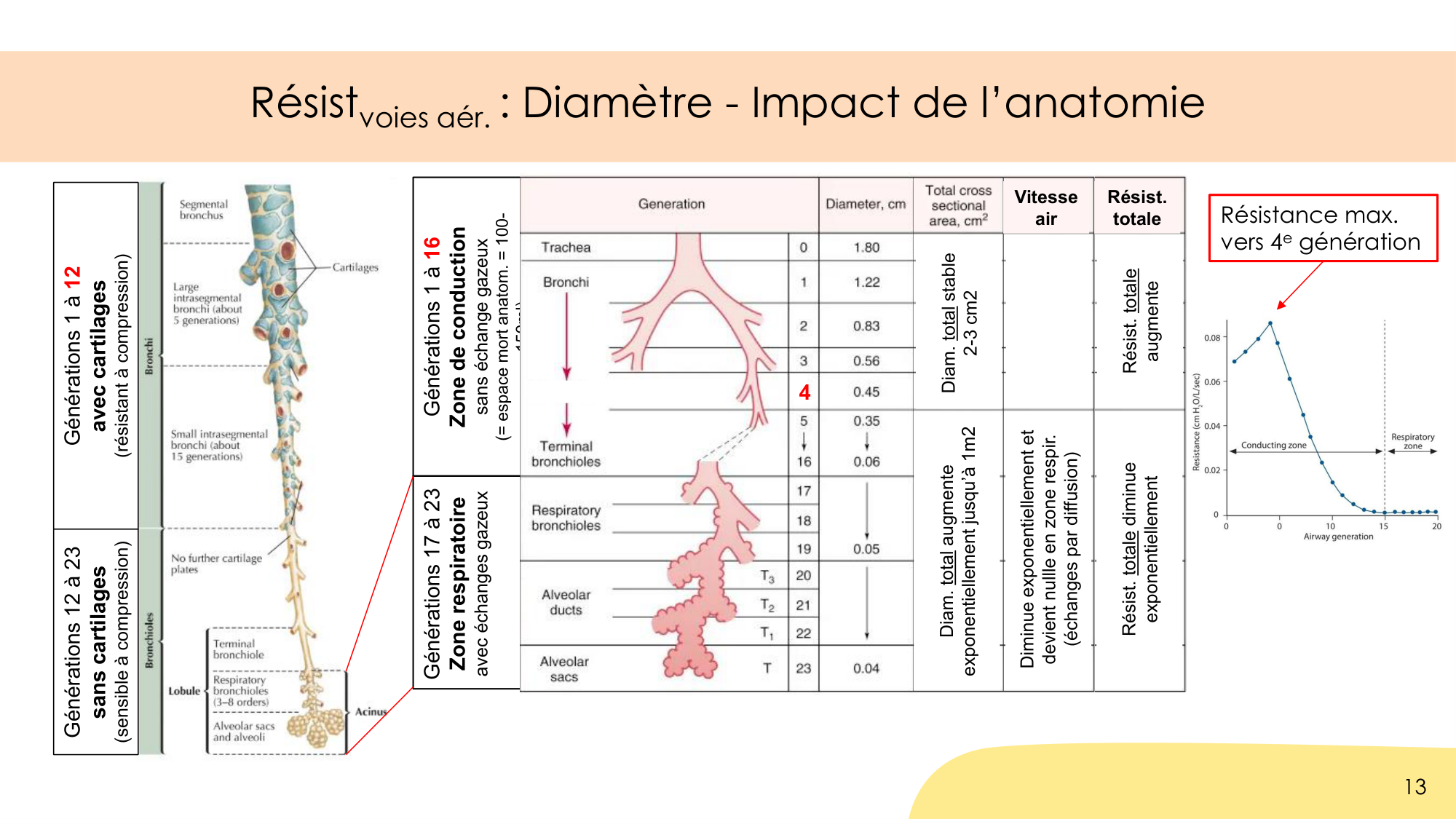 Dynamique respiratoire page 13