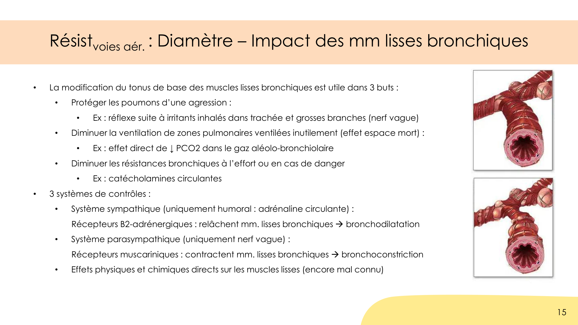 Dynamique respiratoire page 15