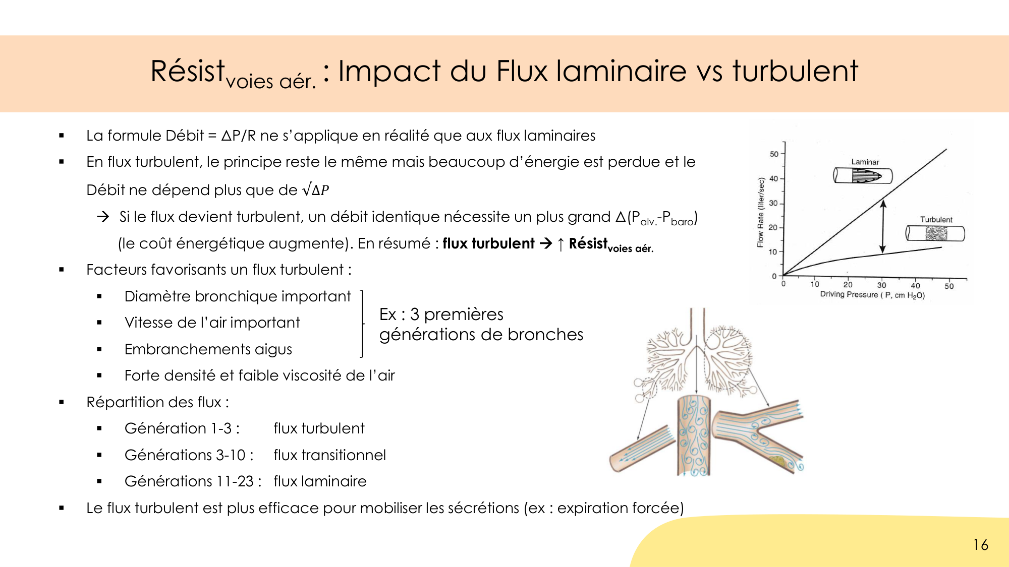 Dynamique respiratoire page 16
