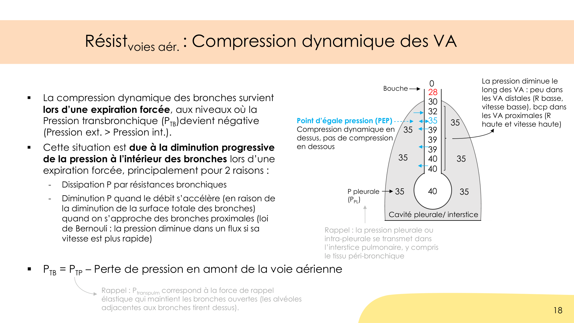 Dynamique respiratoire page 18
