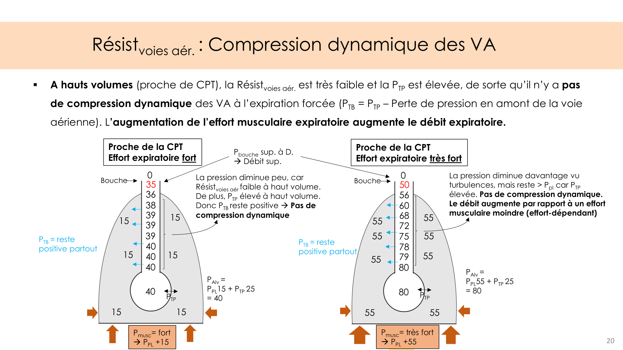 Dynamique respiratoire page 20