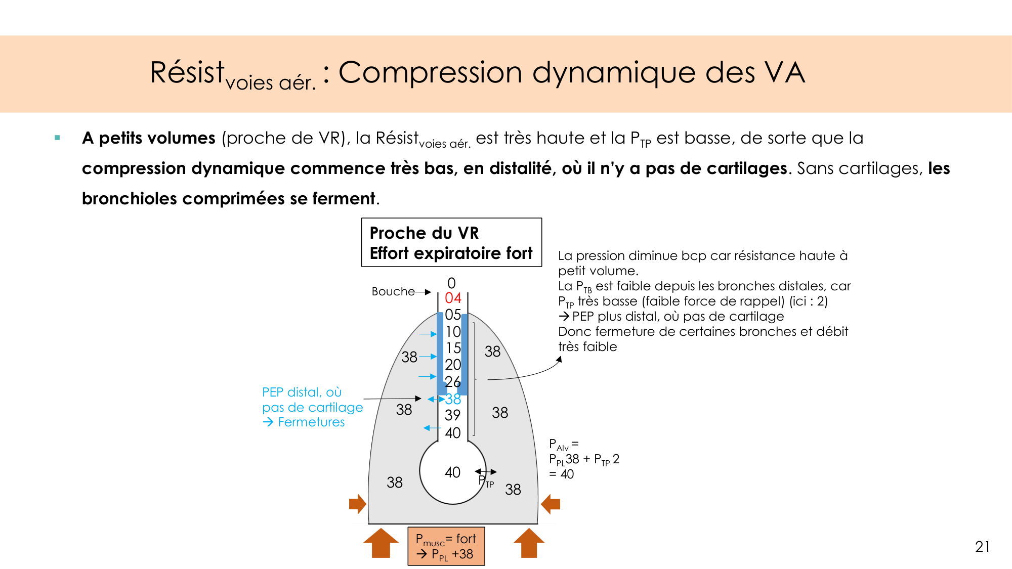 Dynamique respiratoire page 21