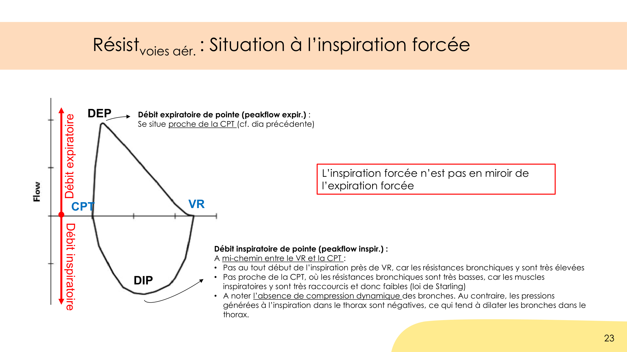 Dynamique respiratoire page 23