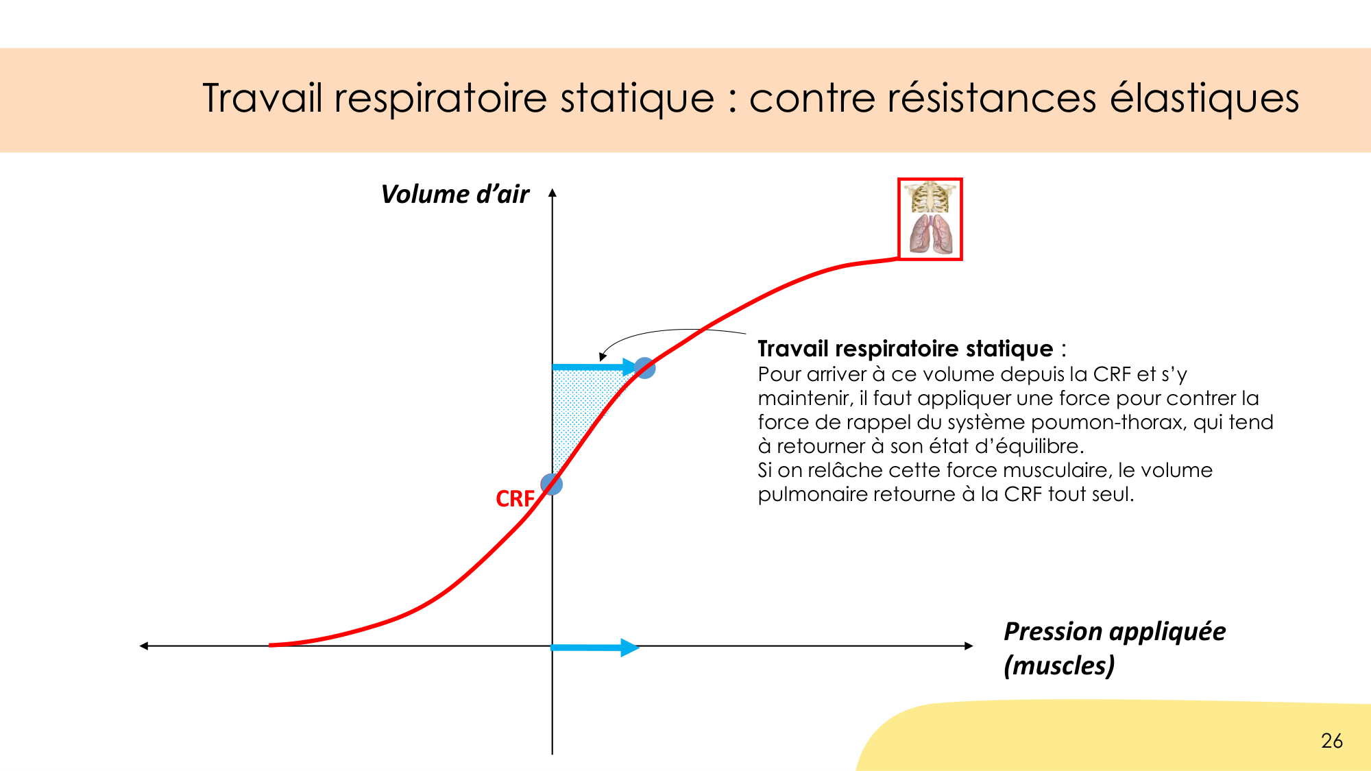 Dynamique respiratoire page 26