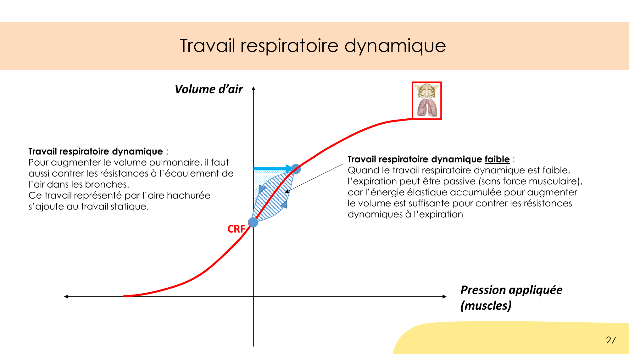 Dynamique respiratoire page 27