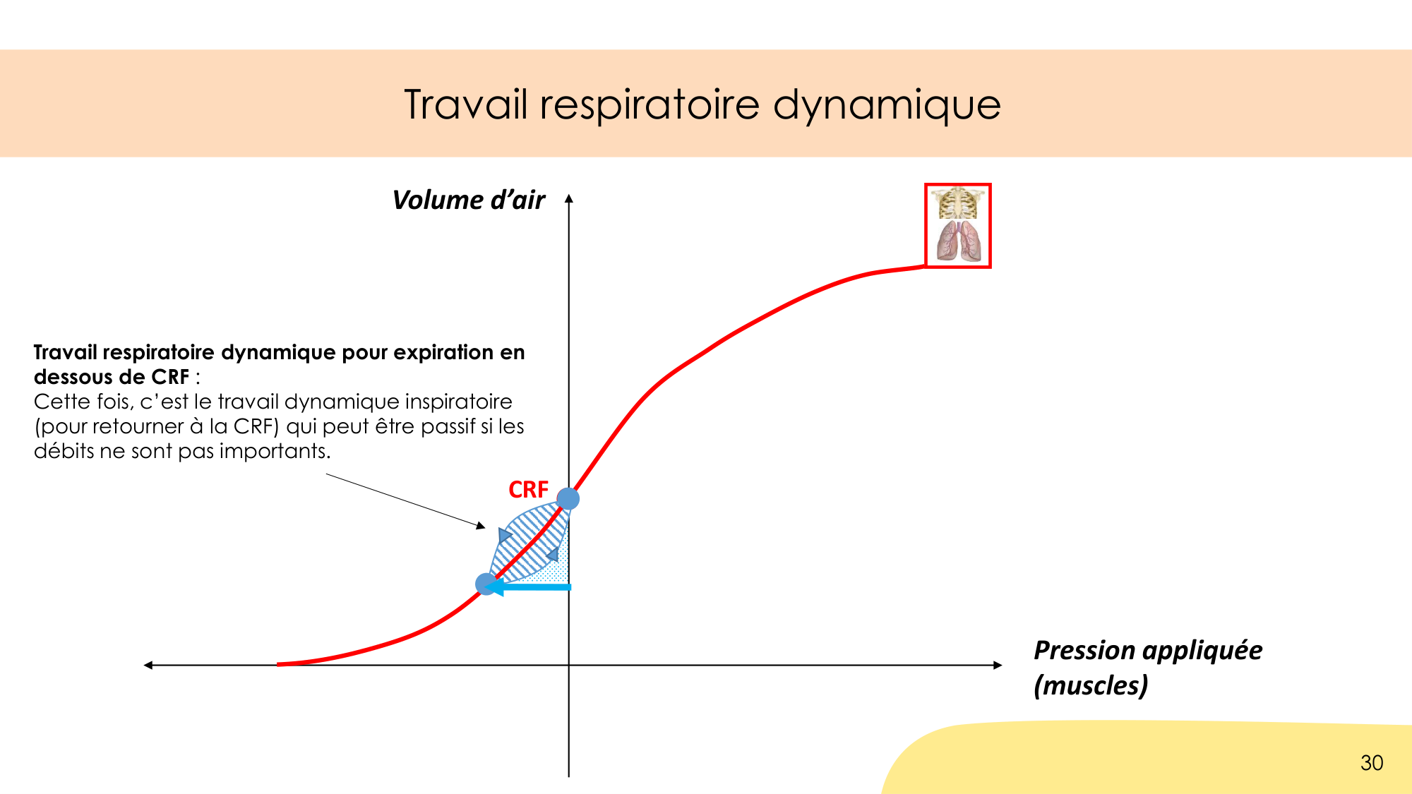 Dynamique respiratoire page 30