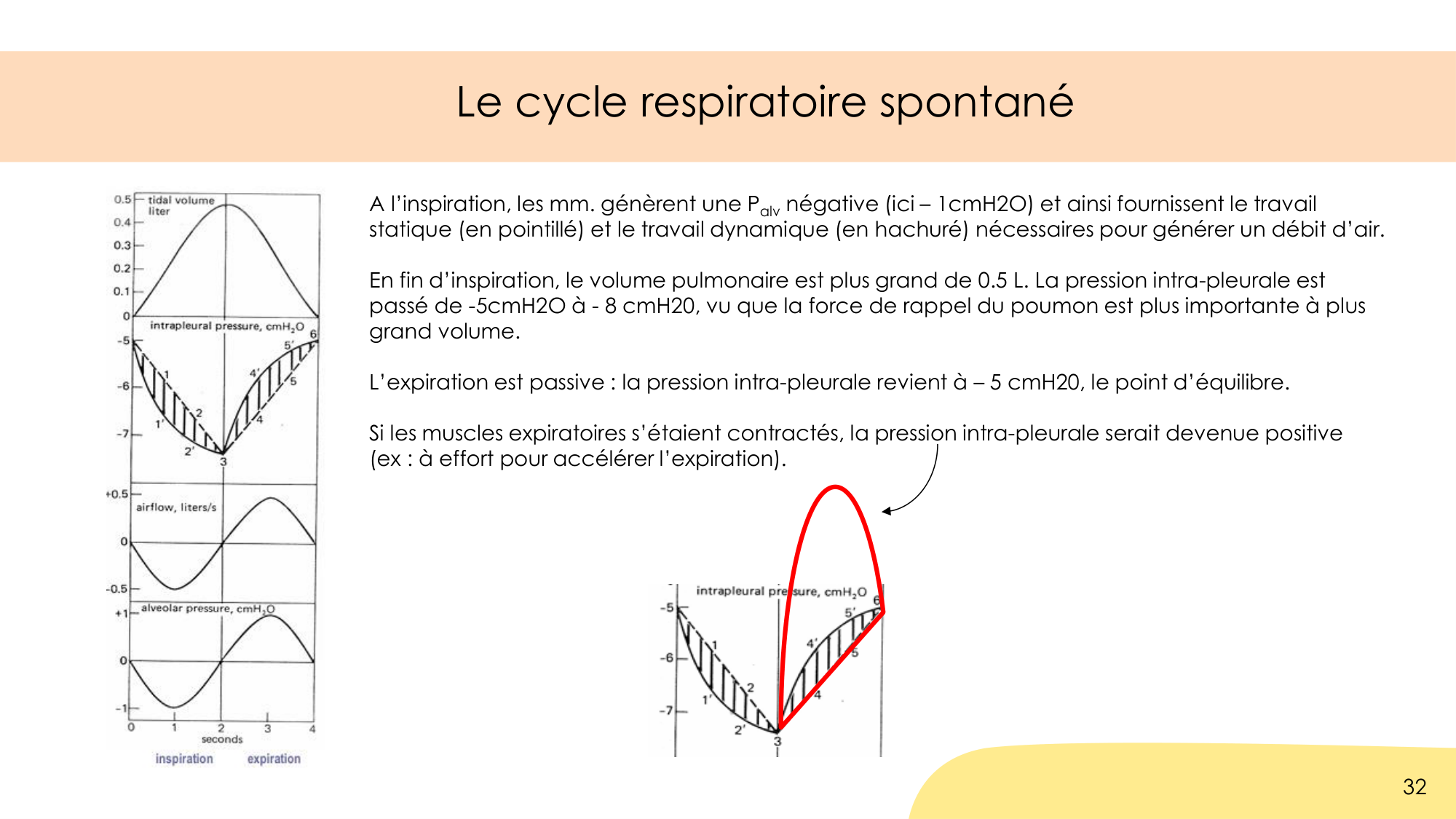 Dynamique respiratoire page 32