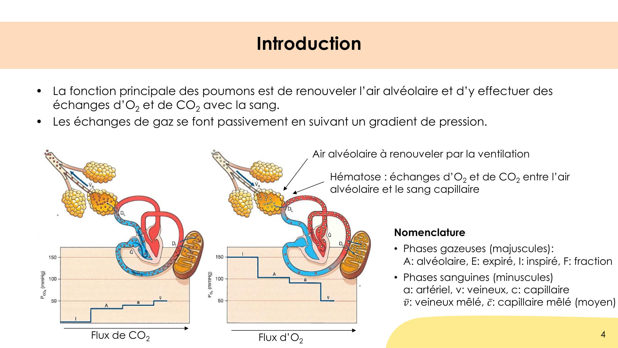 Hématose et rapports V/Q page 4