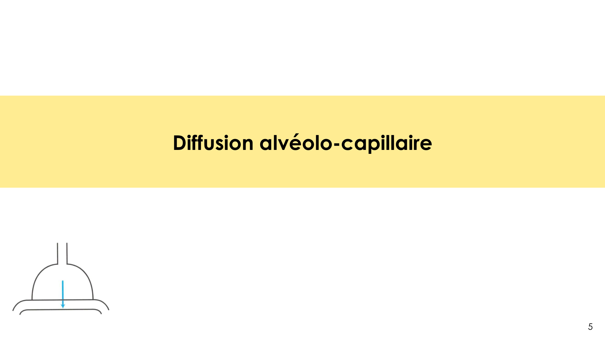 Hématose et rapports V/Q page 5