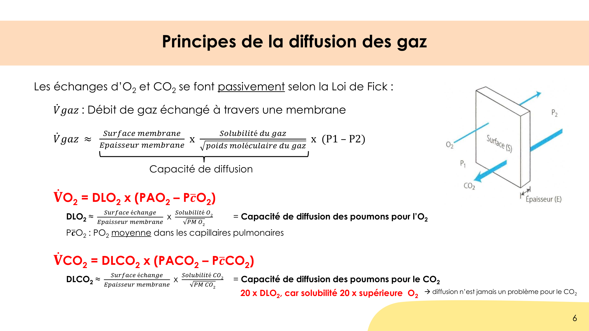 Hématose et rapports V/Q page 6