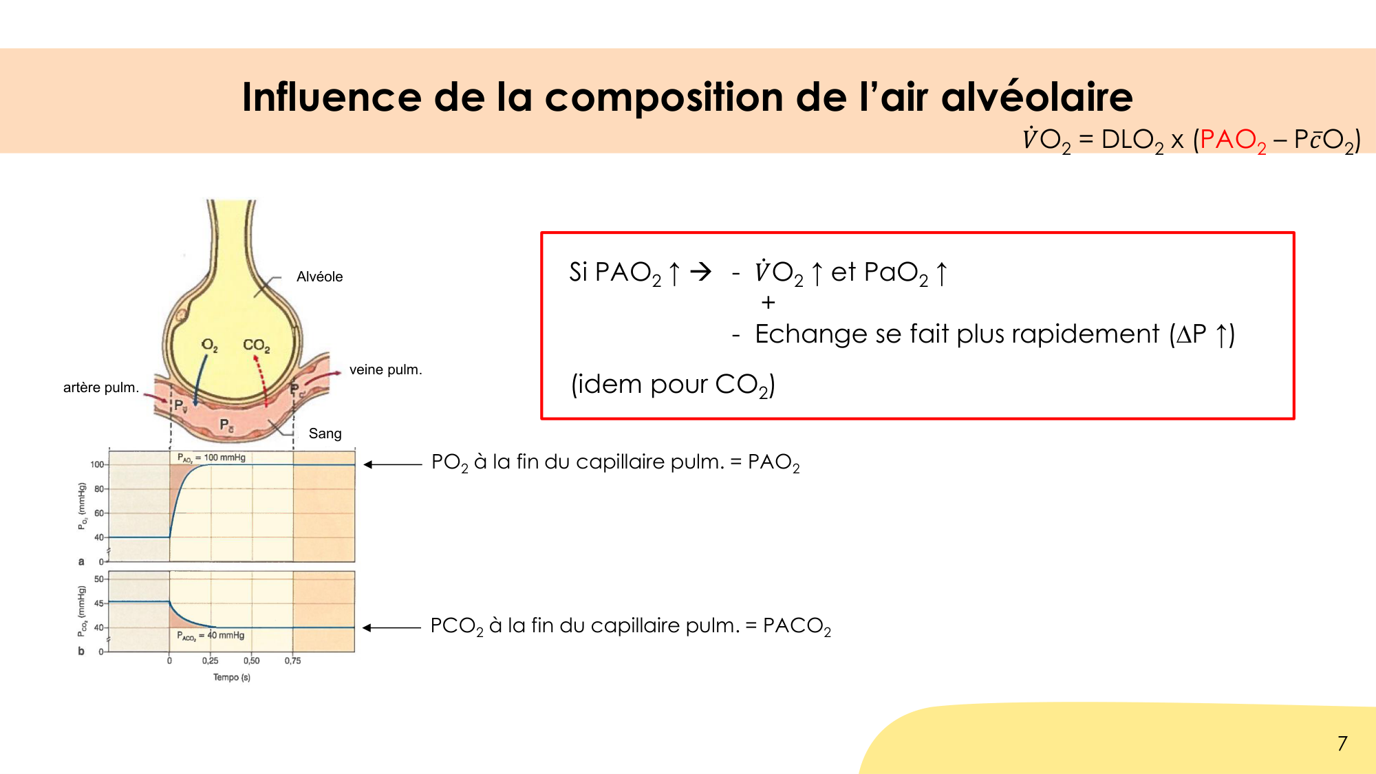 Hématose et rapports V/Q page 7