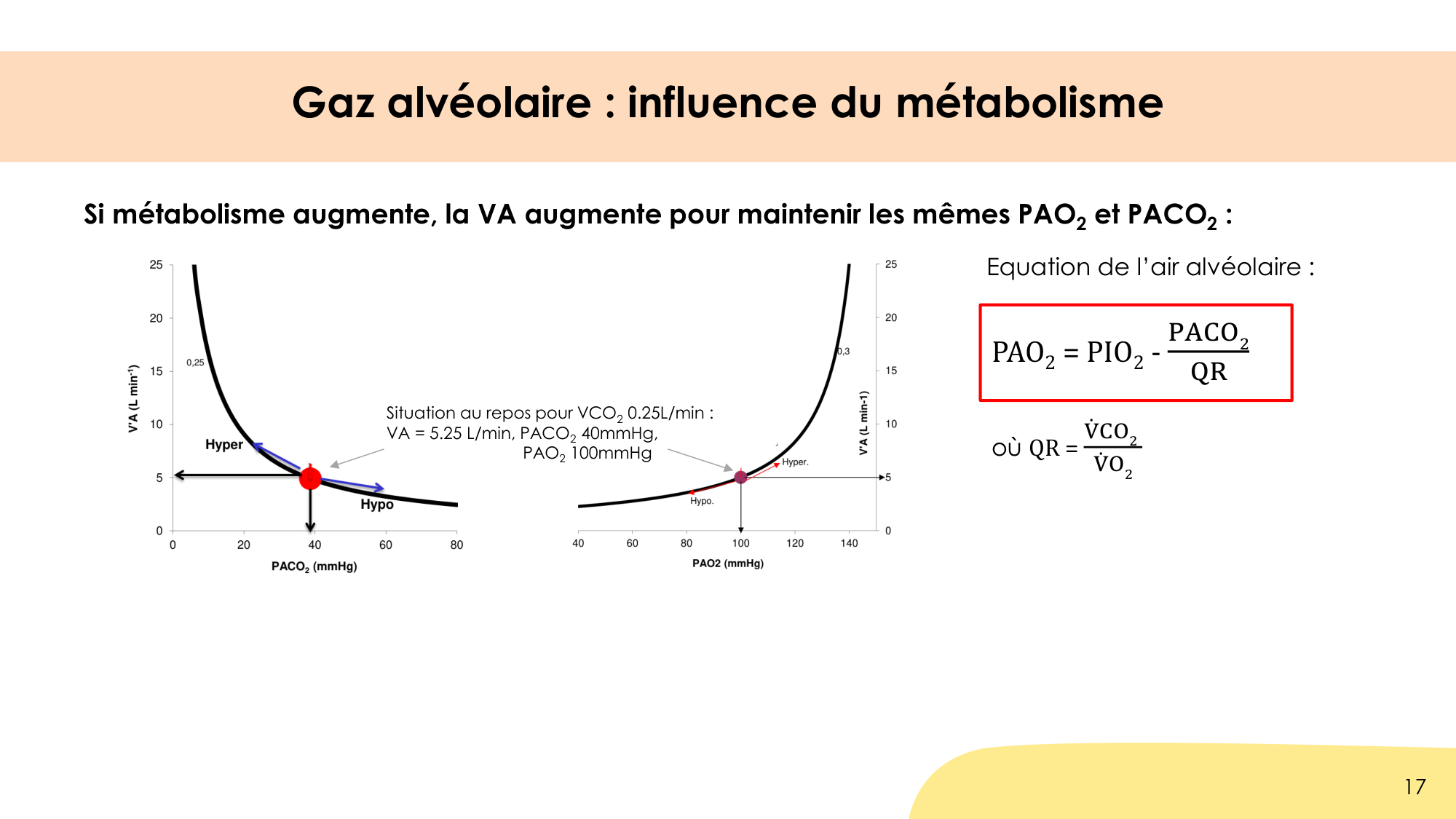 Hématose et rapports V/Q page 17