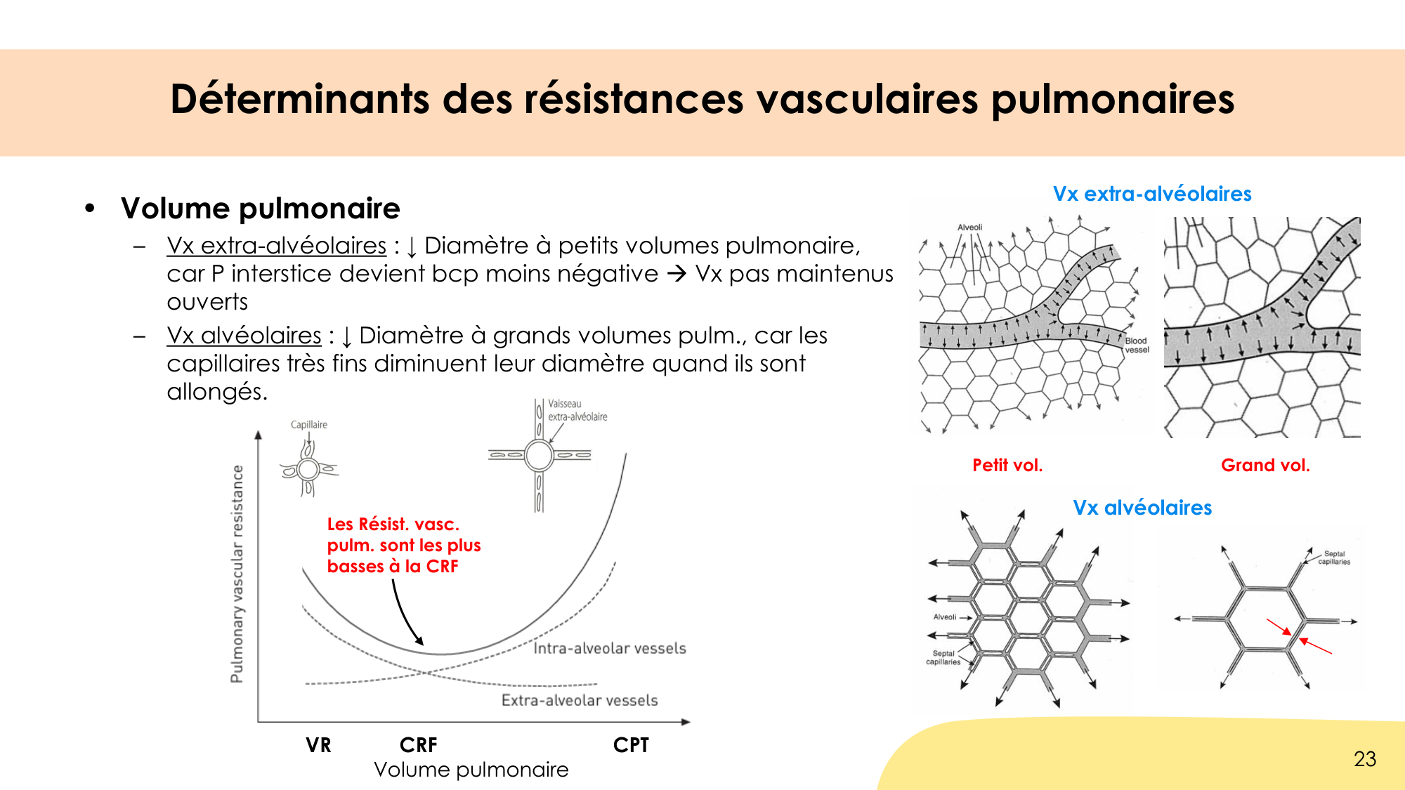 Hématose et rapports V/Q page 23