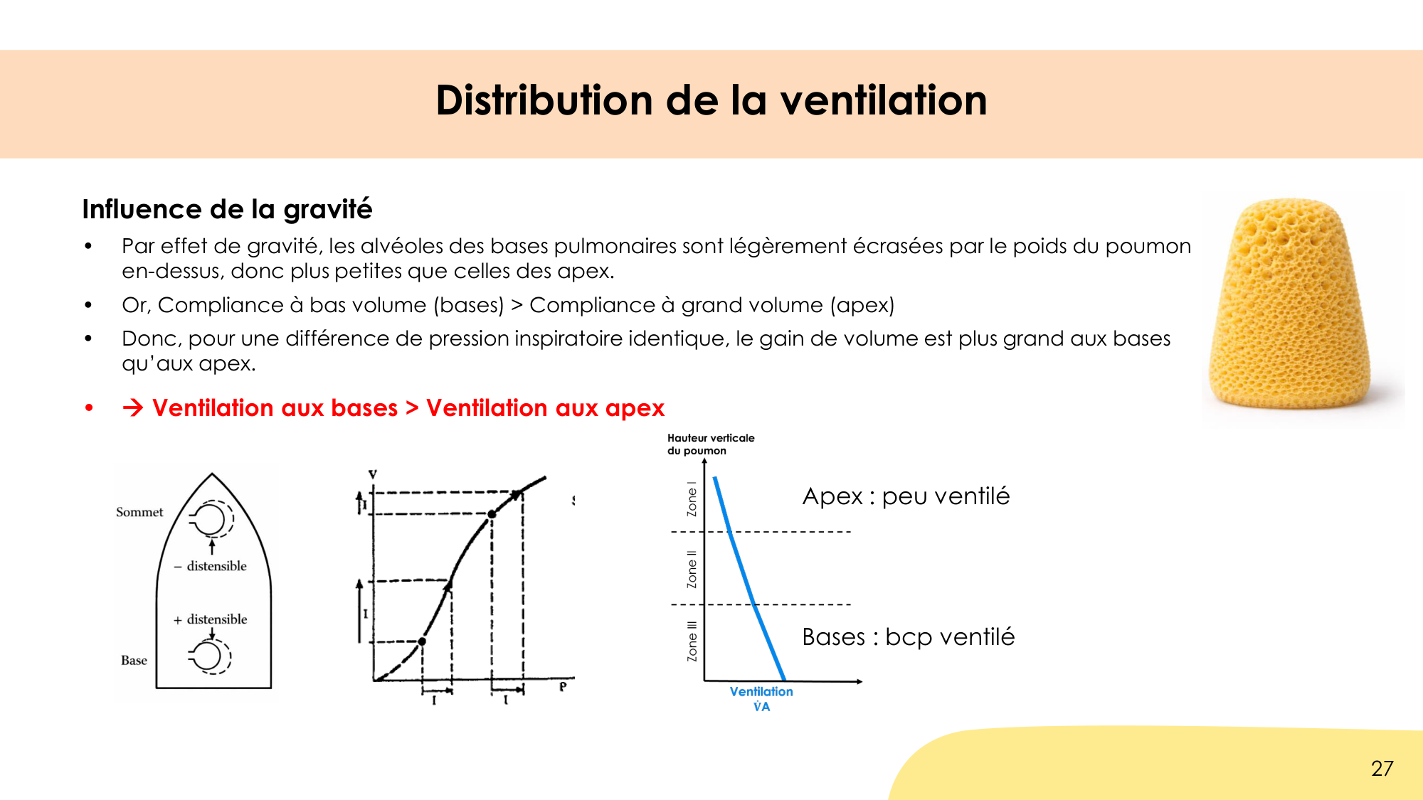 Hématose et rapports V/Q page 27