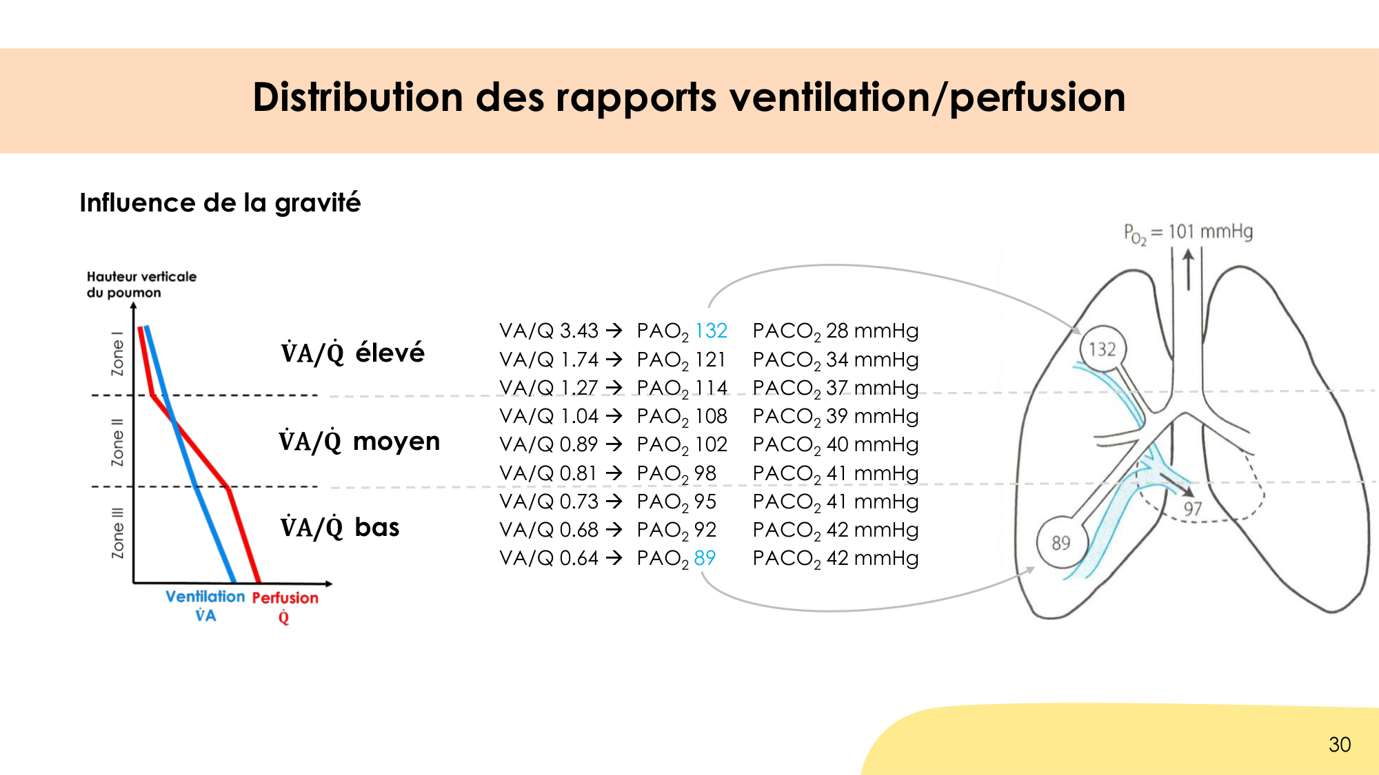 Hématose et rapports V/Q page 30