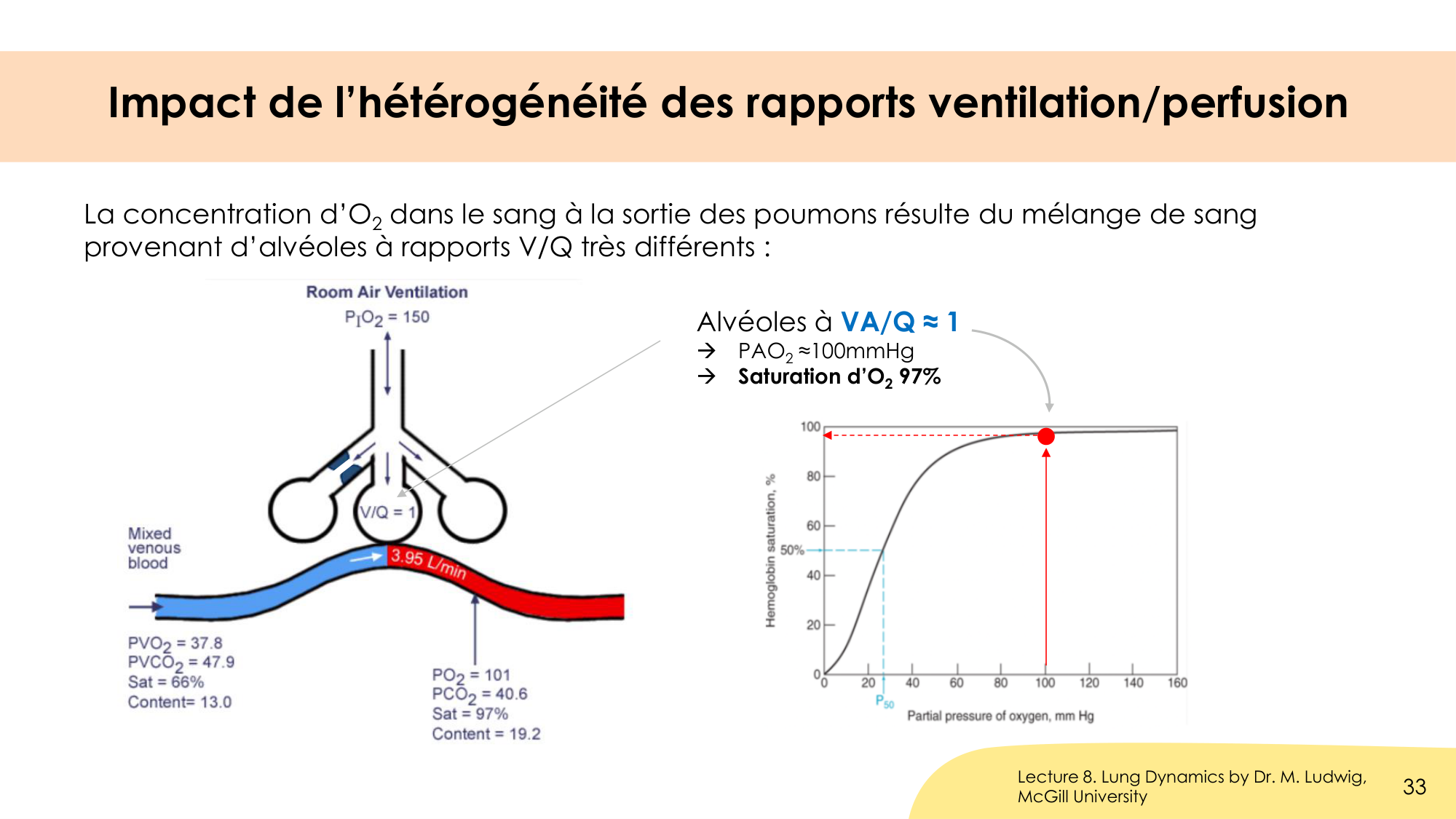 Hématose et rapports V/Q page 33