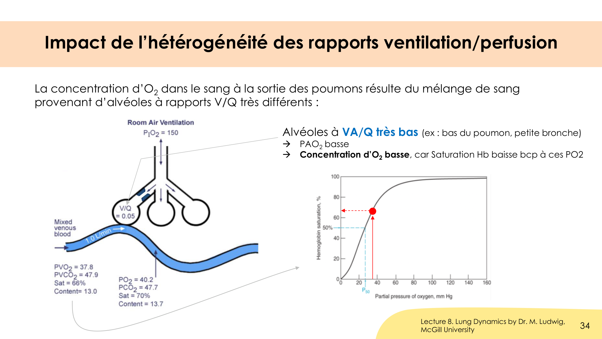 Hématose et rapports V/Q page 34