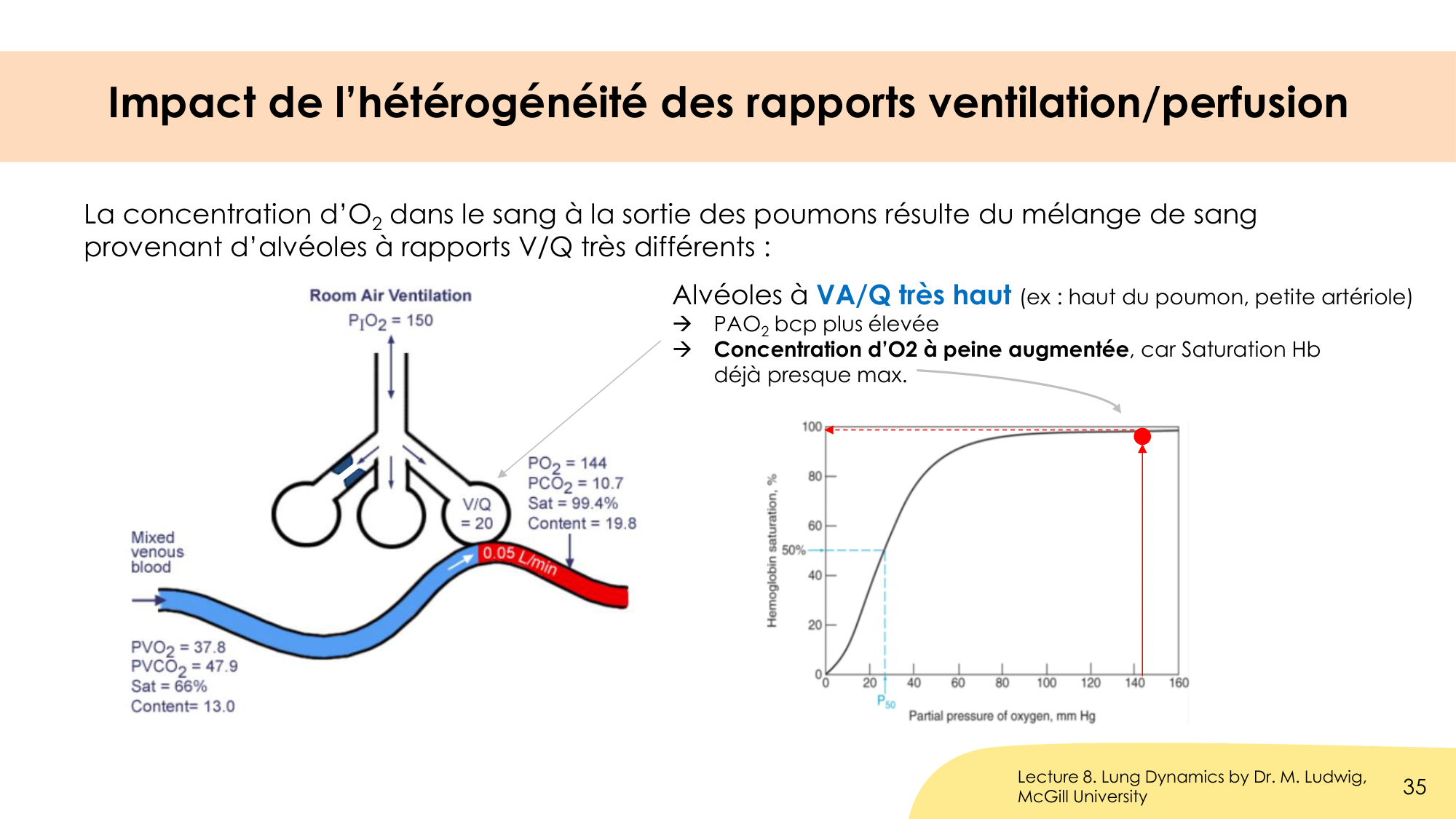 Hématose et rapports V/Q page 35