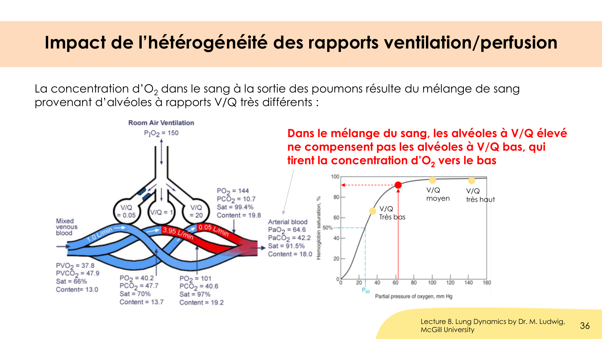 Hématose et rapports V/Q page 36