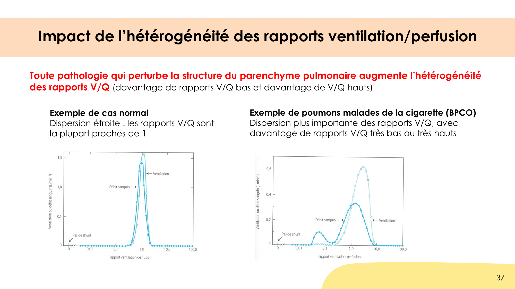 Hématose et rapports V/Q page 37