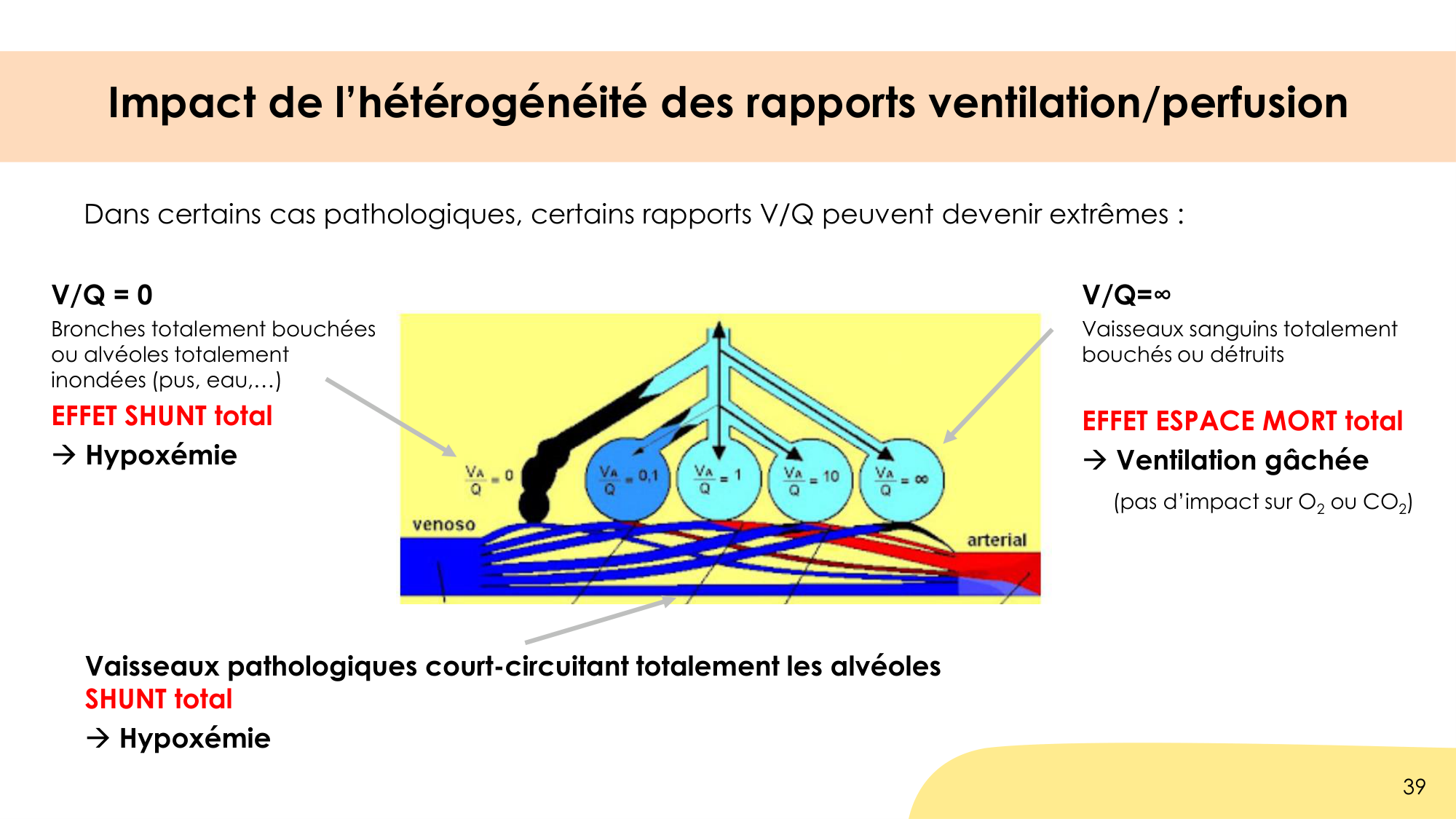 Hématose et rapports V/Q page 39