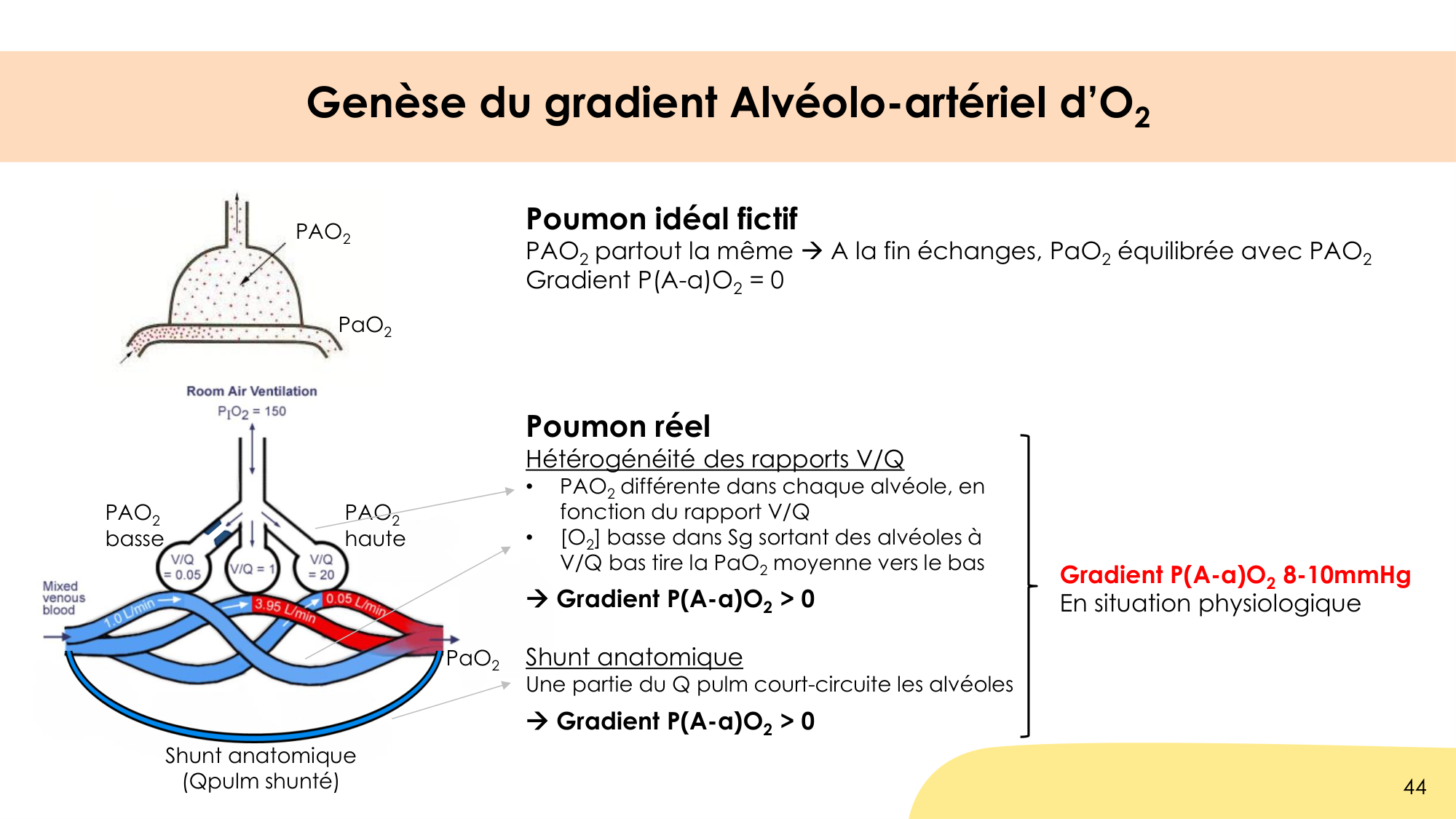 Hématose et rapports V/Q page 44