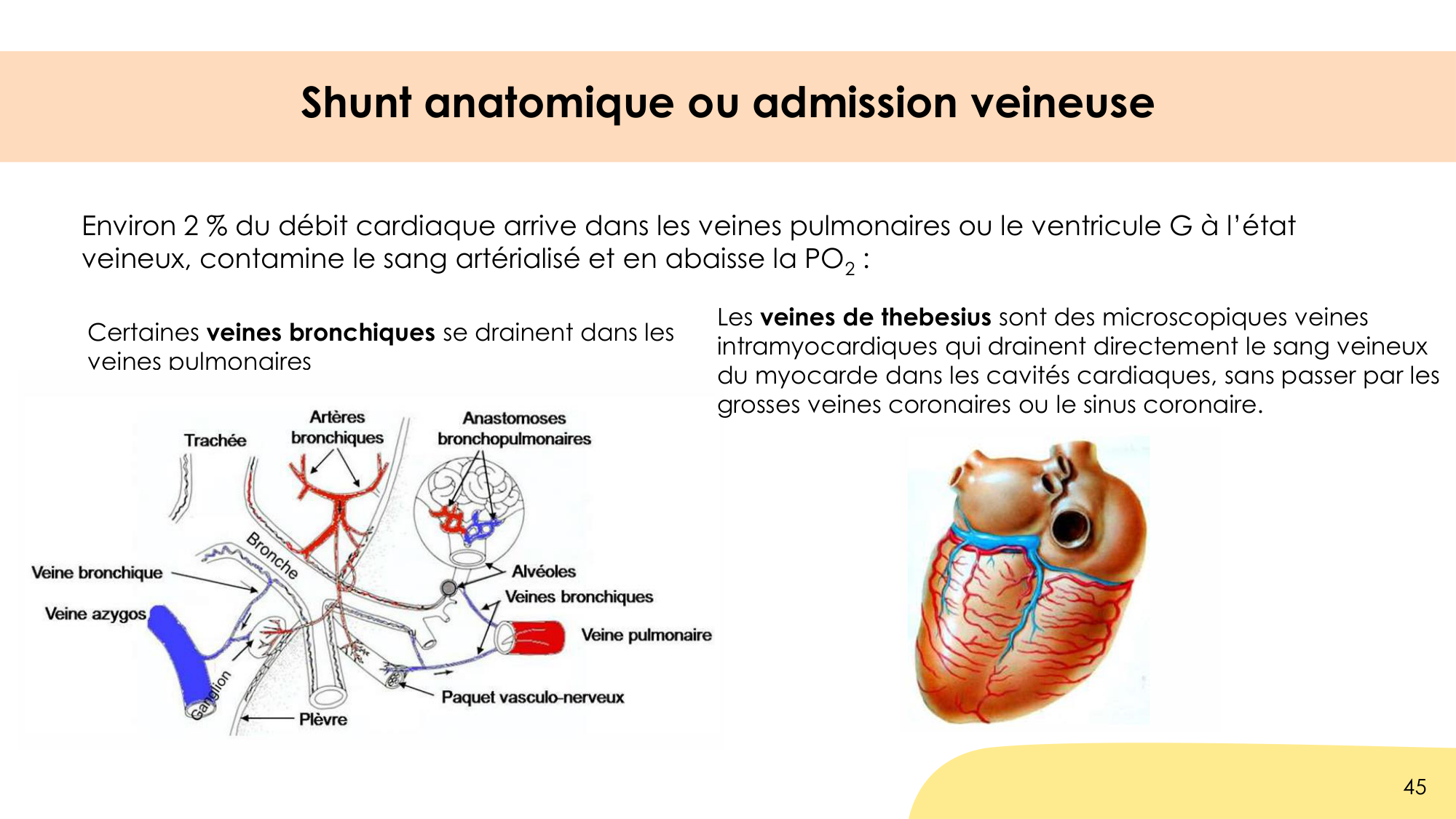 Hématose et rapports V/Q page 45