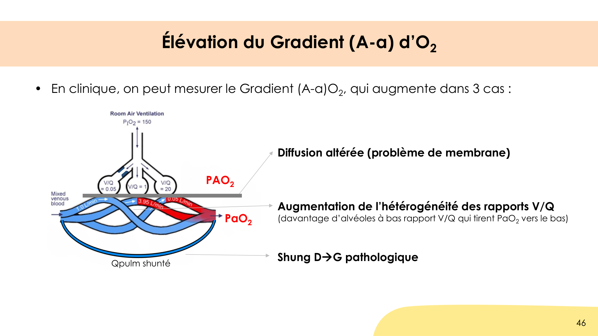 Hématose et rapports V/Q page 46