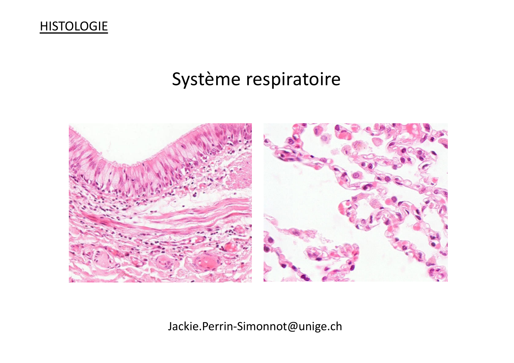 Histologie du système respiratoire page 1