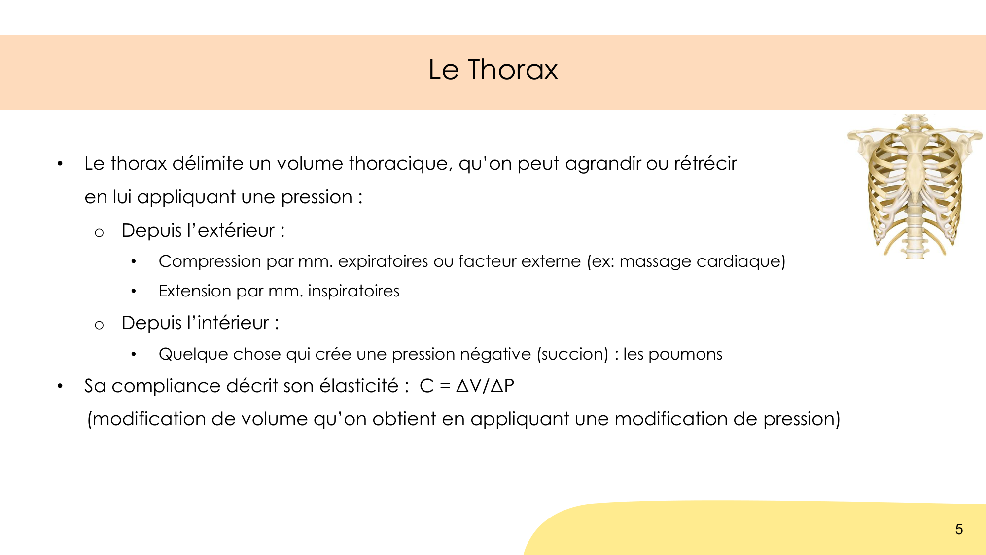 Mécanique thoracique page 5