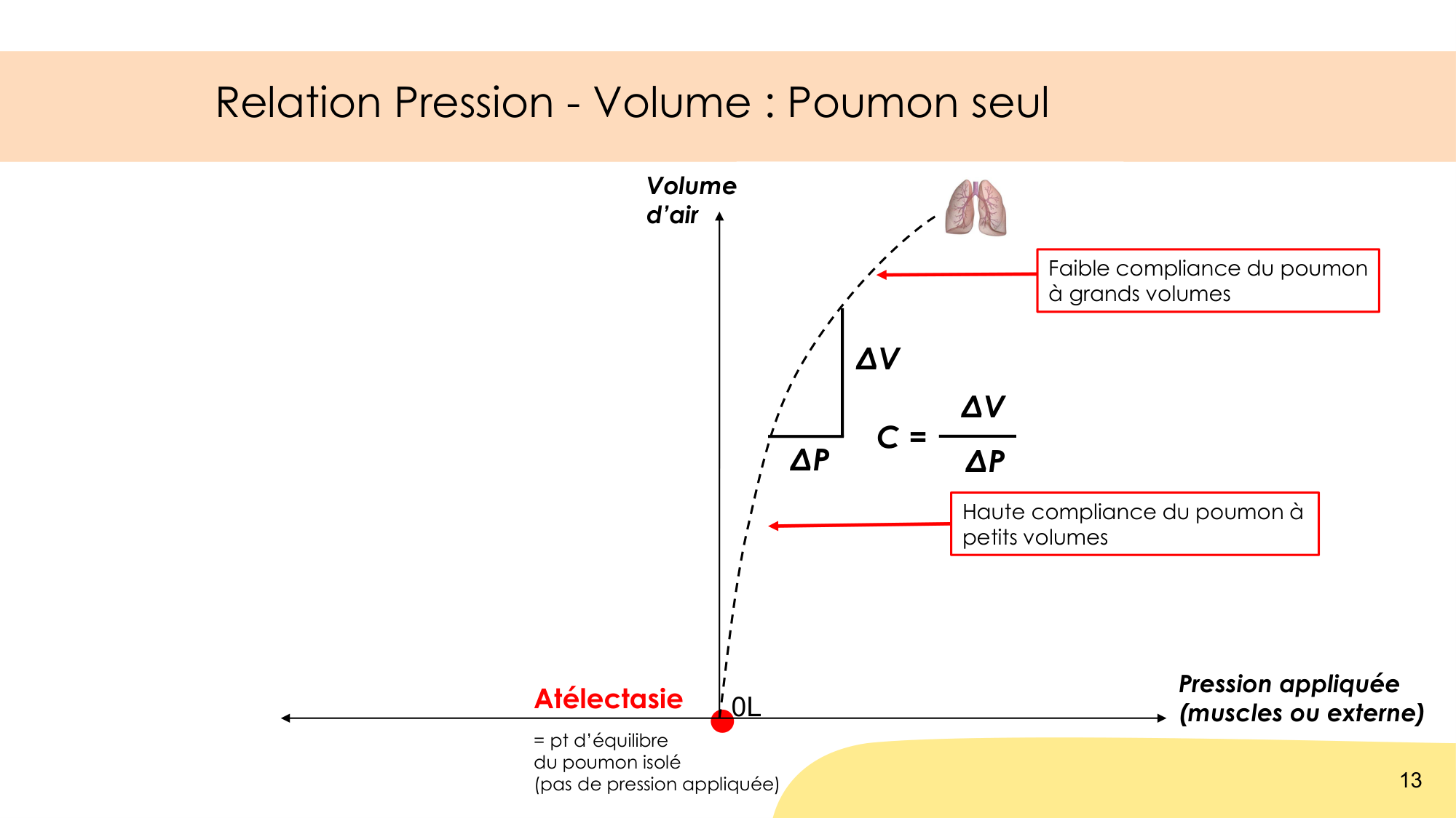 Mécanique thoracique page 13