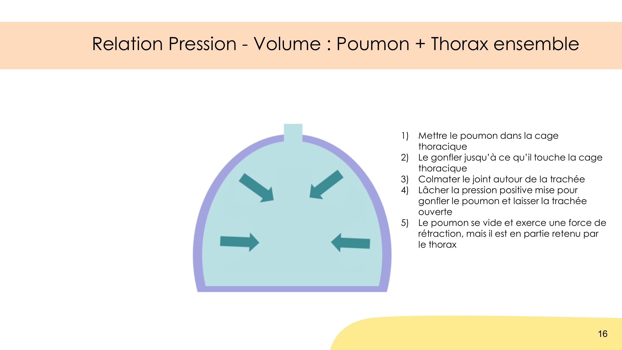 Mécanique thoracique page 16