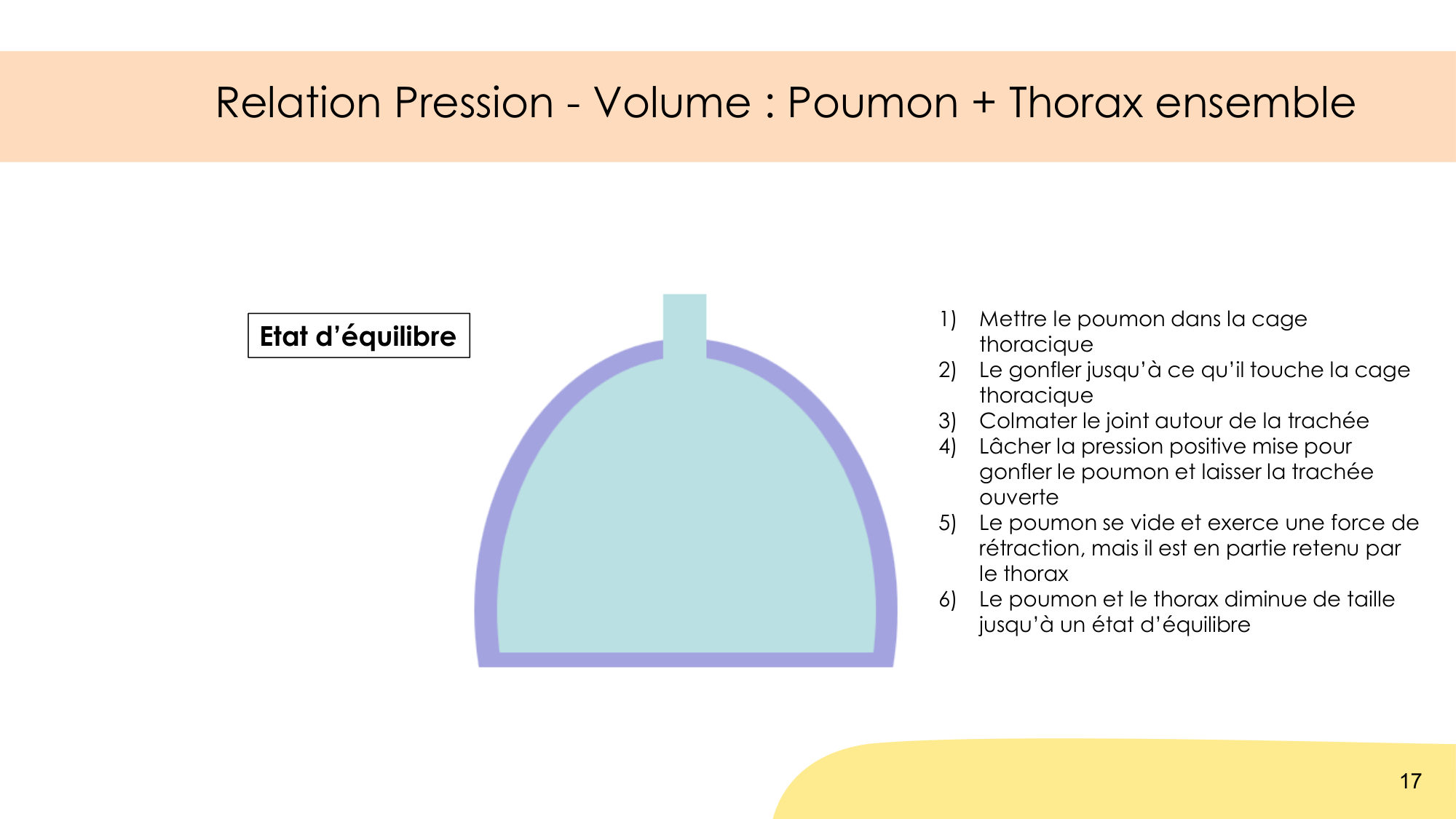 Mécanique thoracique page 17
