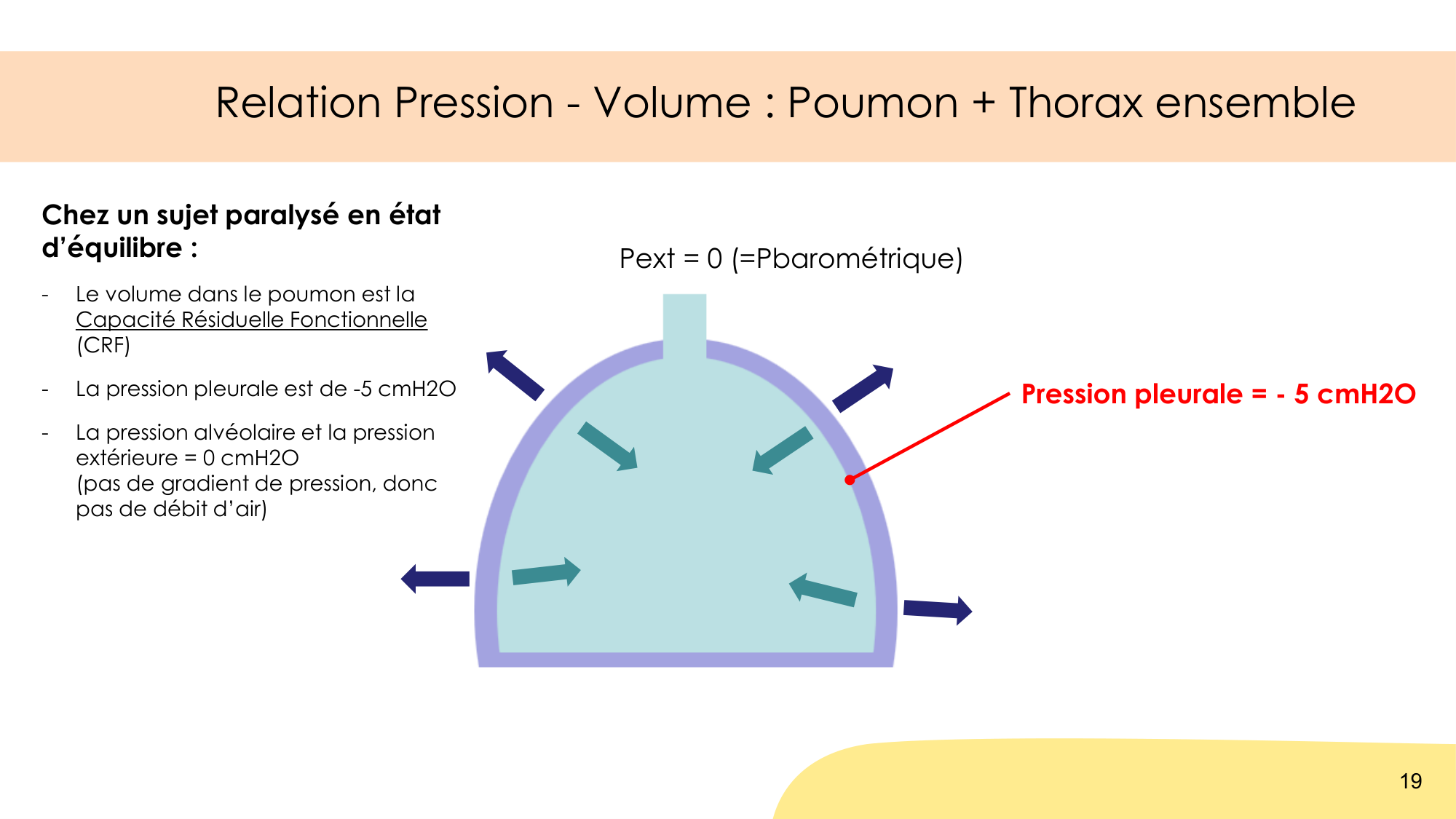 Mécanique thoracique page 19