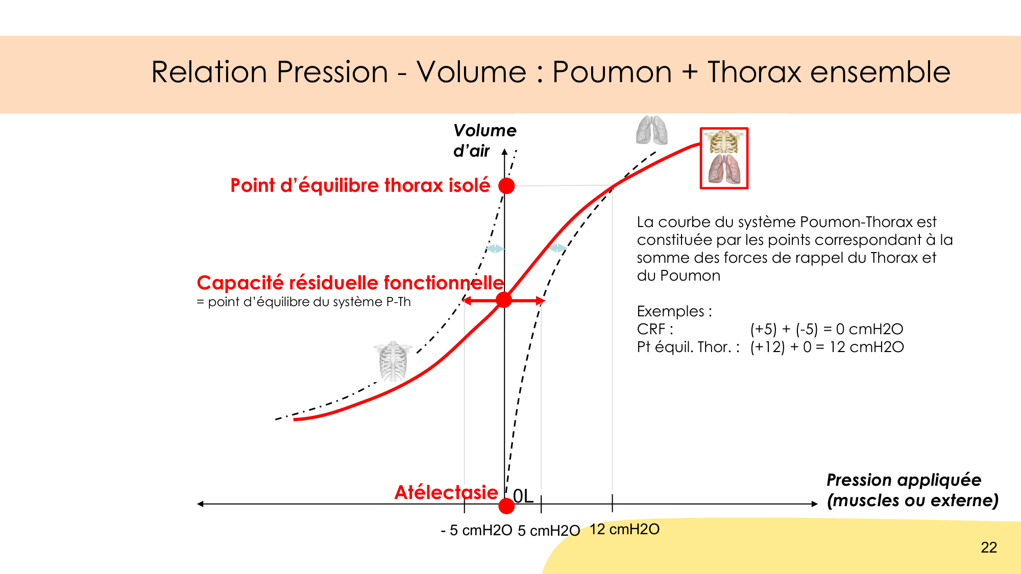 Mécanique thoracique page 22