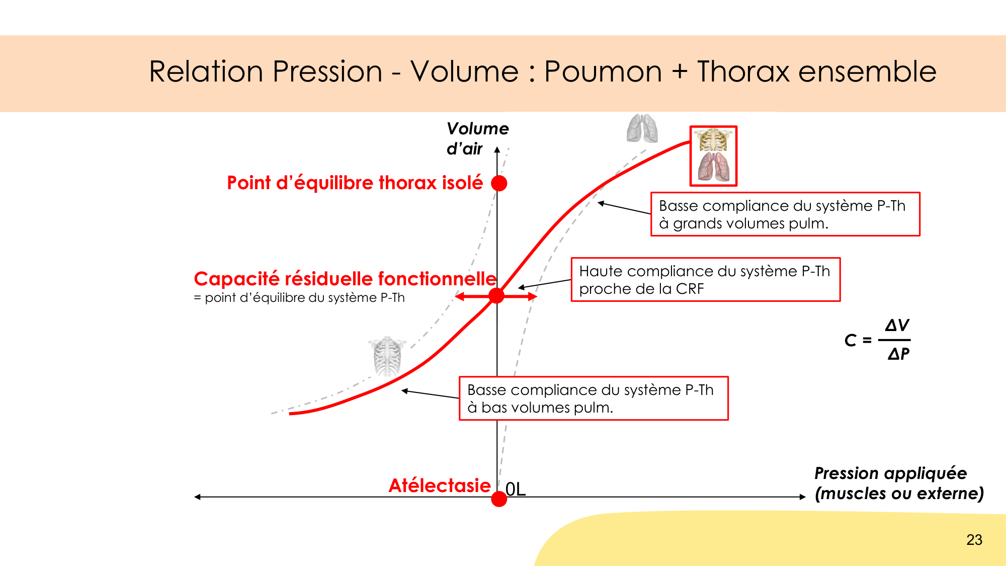 Mécanique thoracique page 23