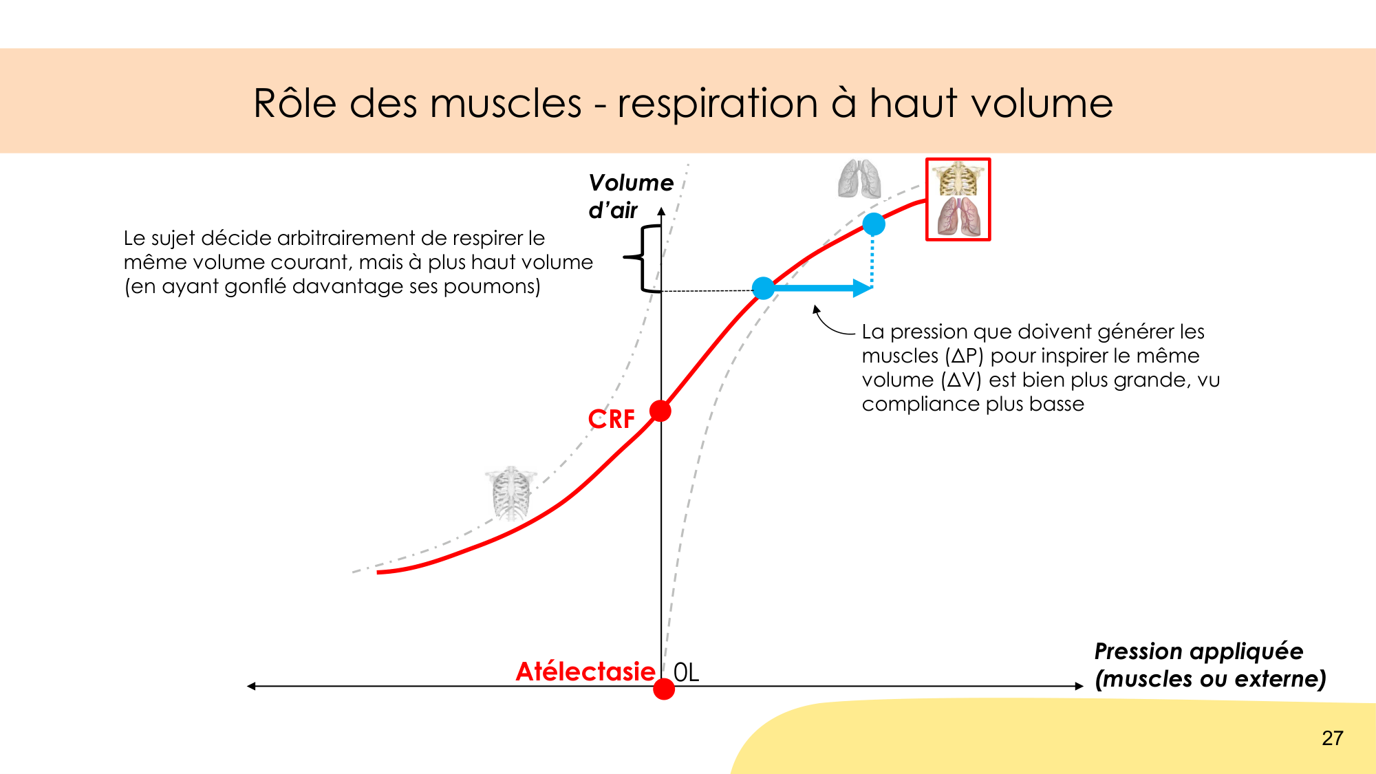 Mécanique thoracique page 27