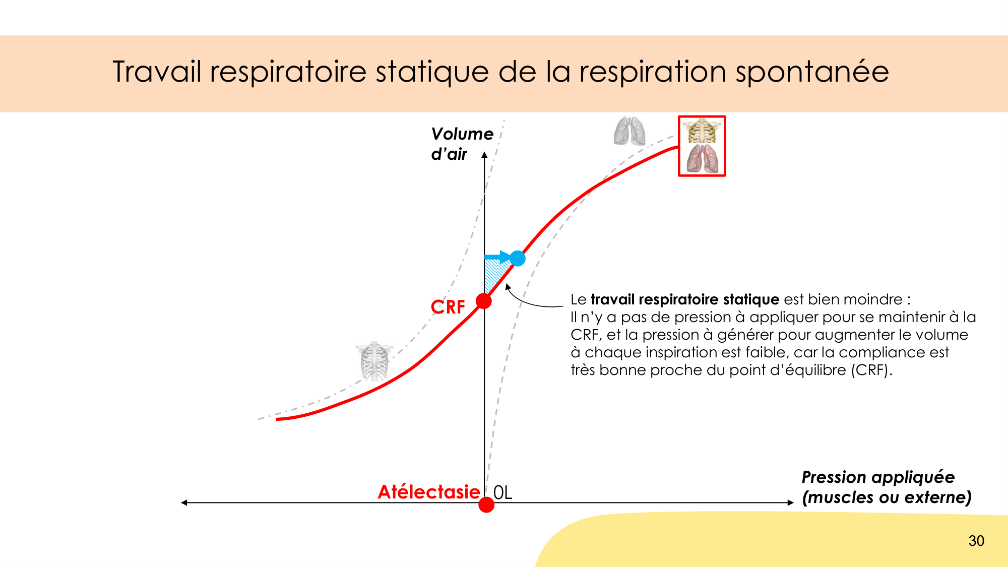 Mécanique thoracique page 30