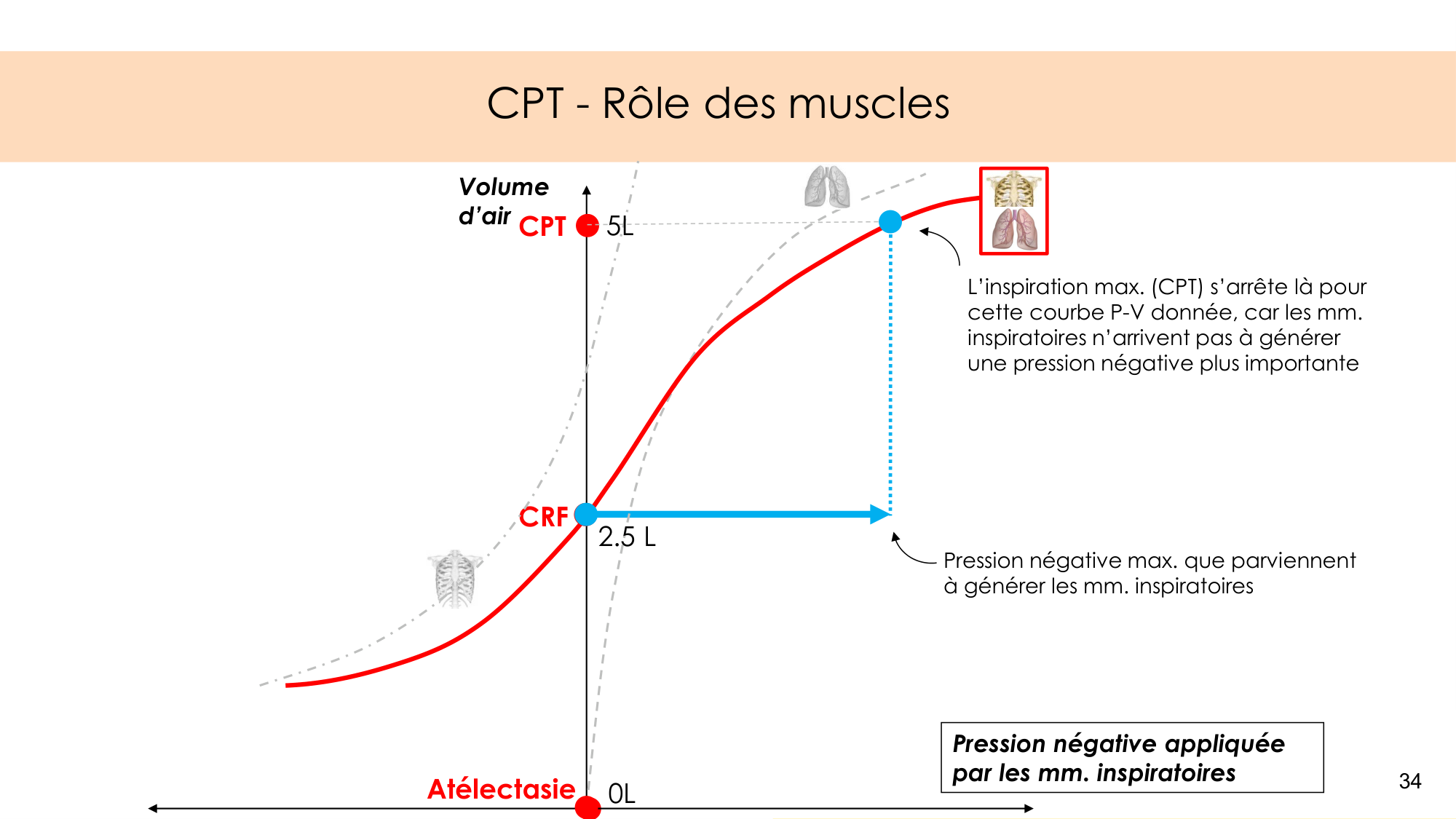 Mécanique thoracique page 34