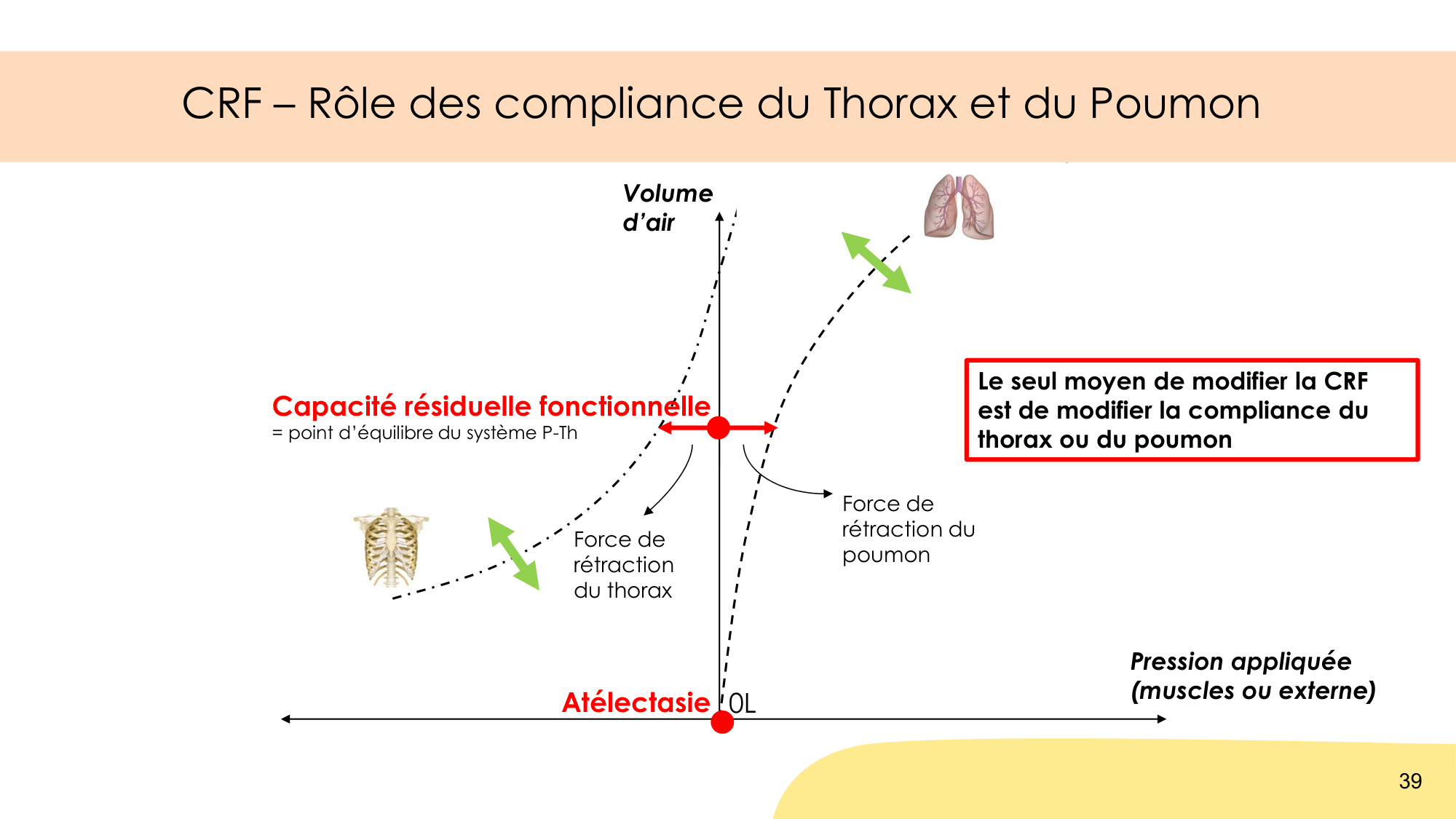 Mécanique thoracique page 39