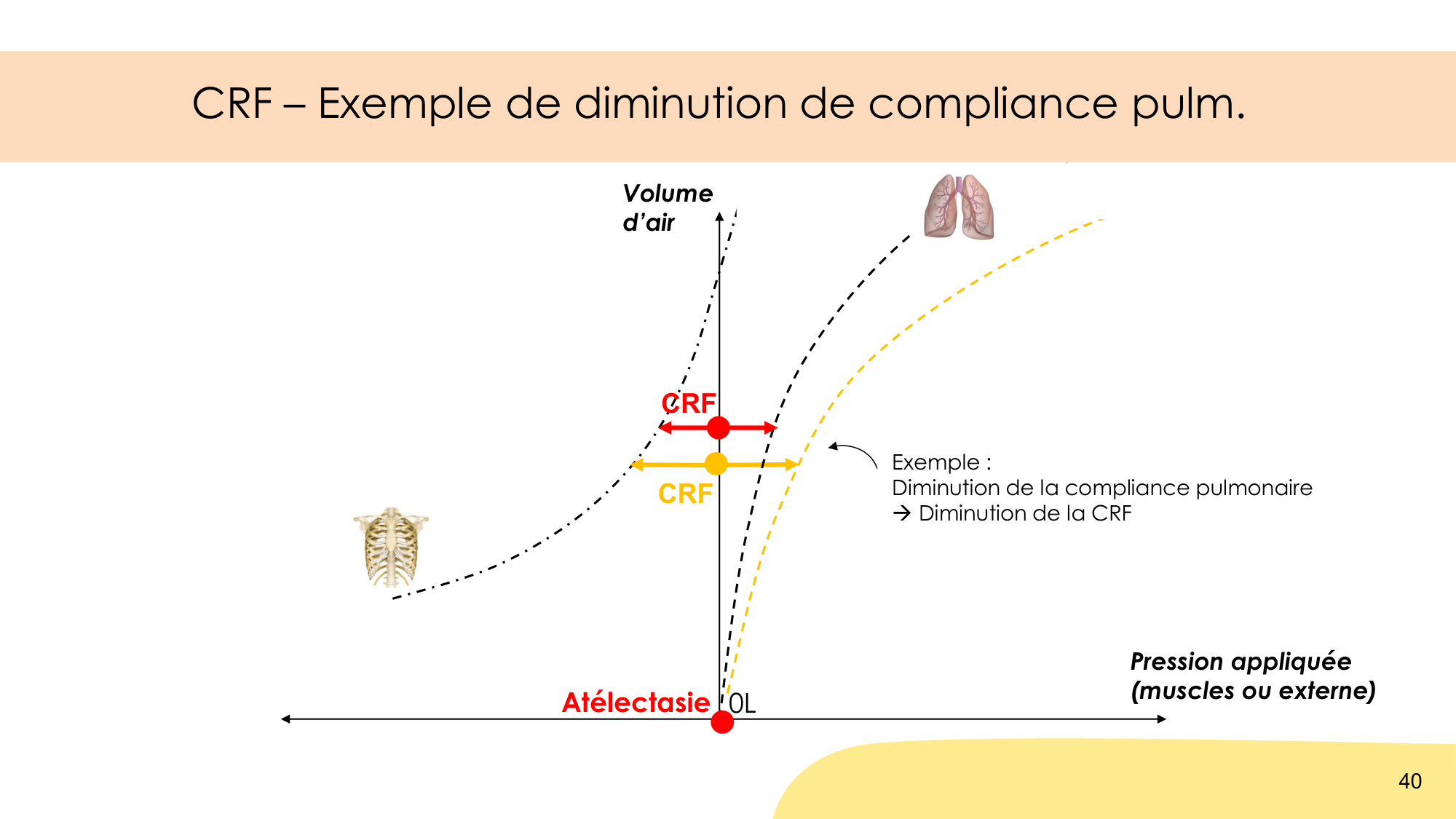 Mécanique thoracique page 40