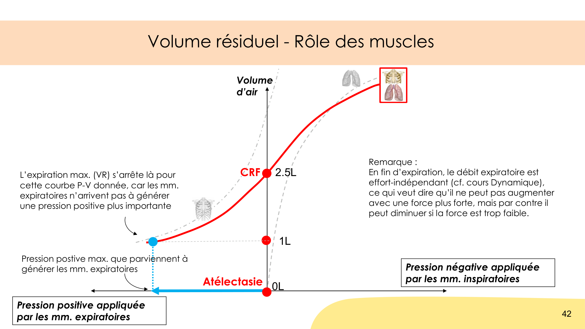 Mécanique thoracique page 42