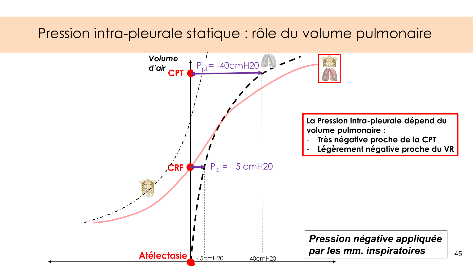 Mécanique thoracique page 45