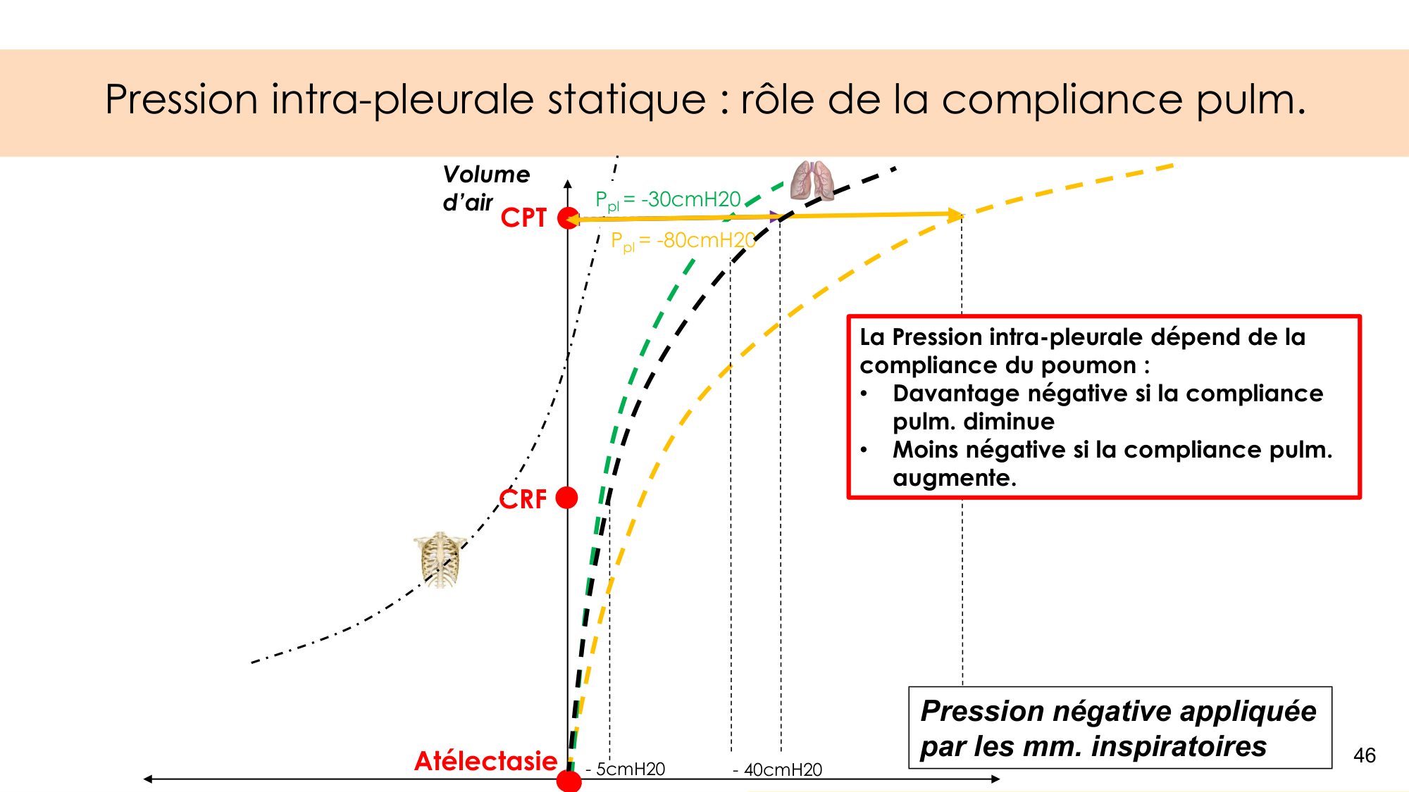 Mécanique thoracique page 46